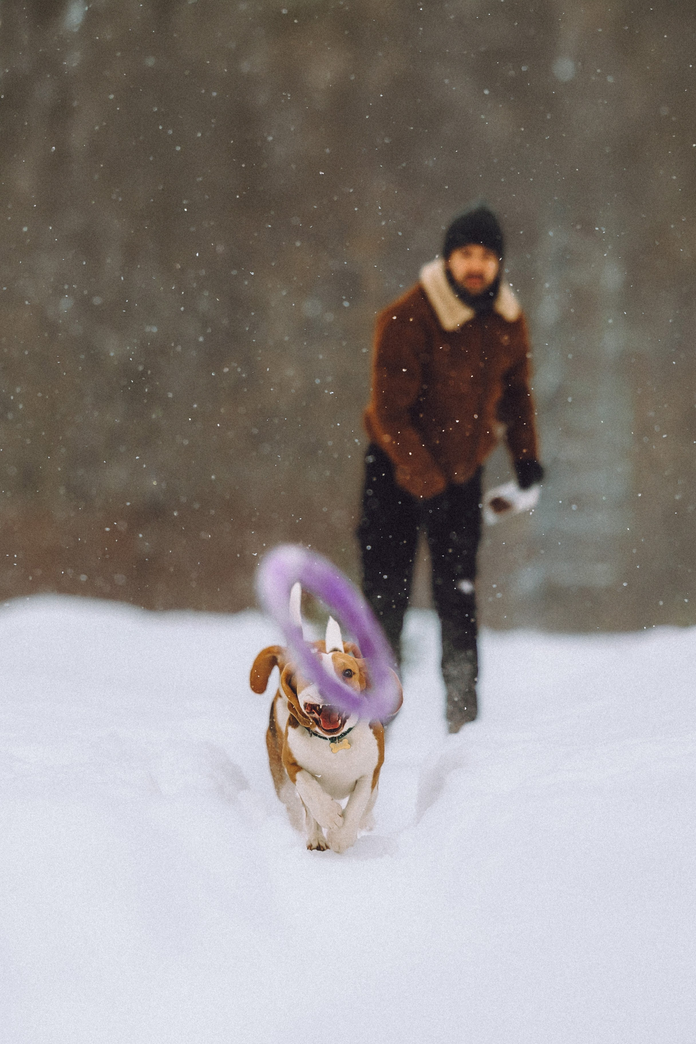 Роман, Портер и Коррес