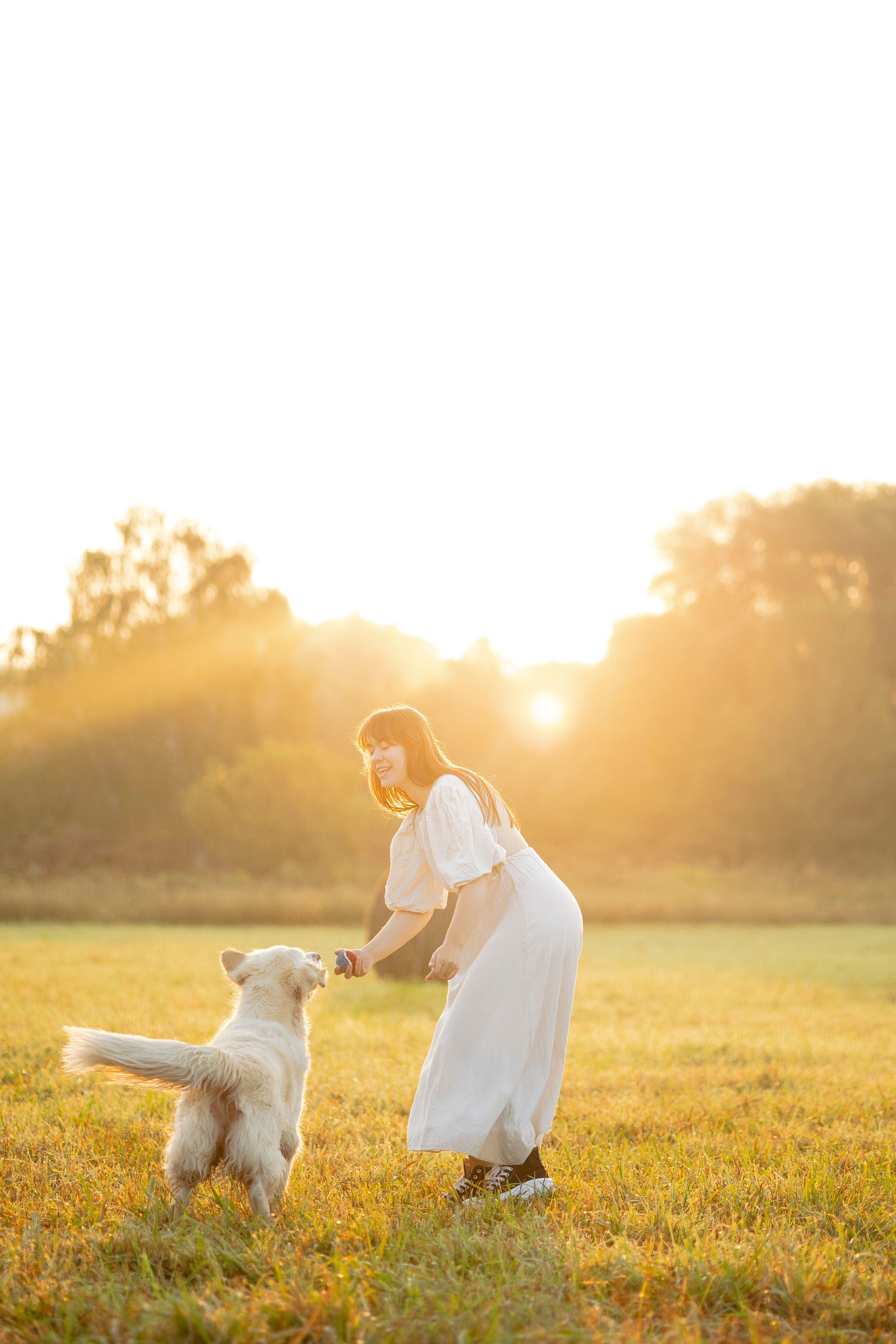Рассветная съемка с собакой. Анастасия Белаш