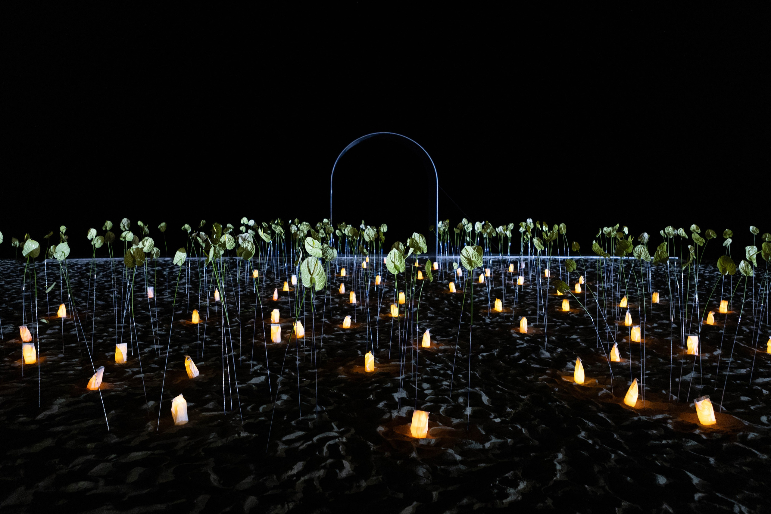 NA KRAYU SVETA. Свадебный и love-story фотограф в Санкт-Петербурге Воронова Лолита