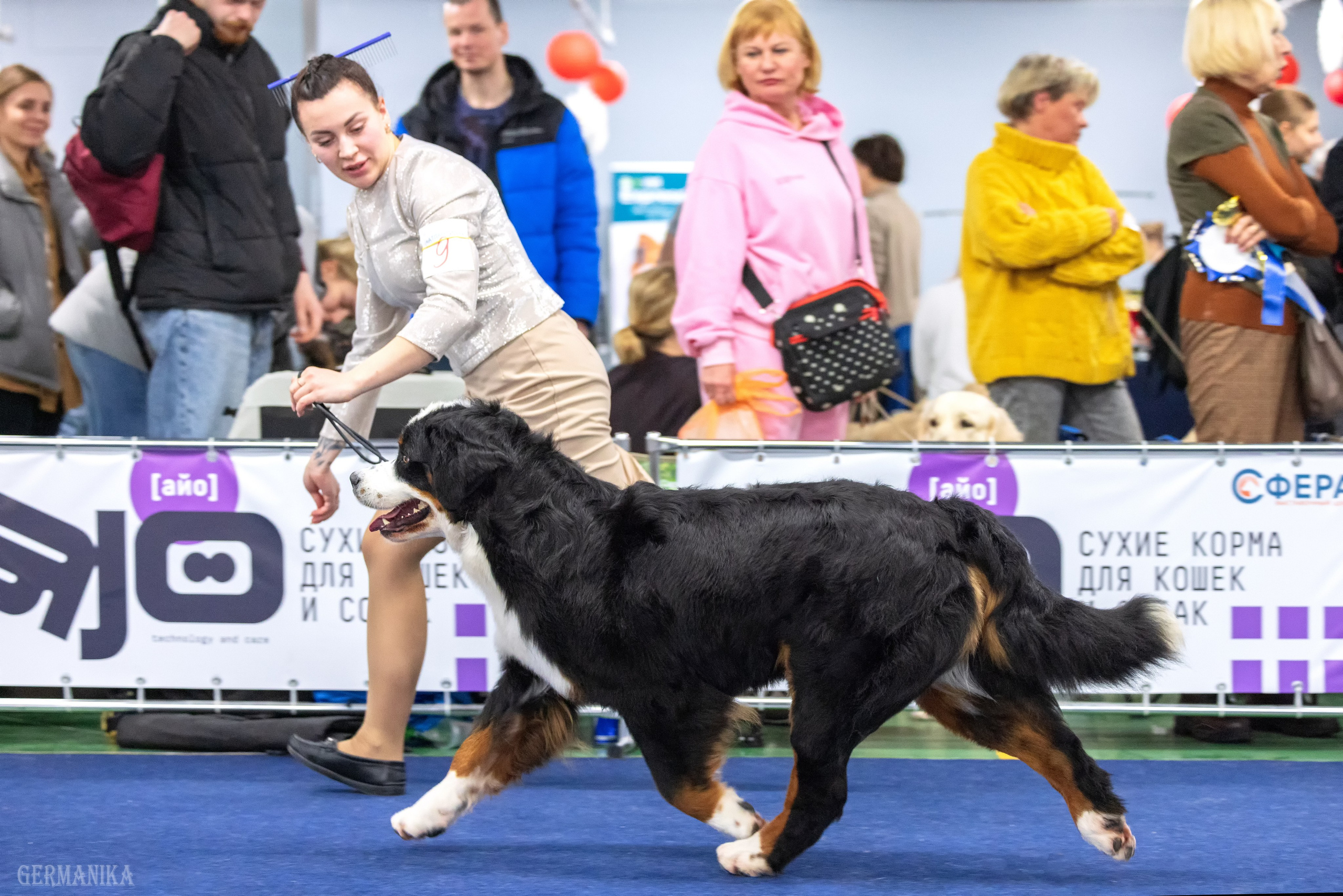 Сфера 28.01. и 4.02.2024. Фотограф-анималист Юлия Германика