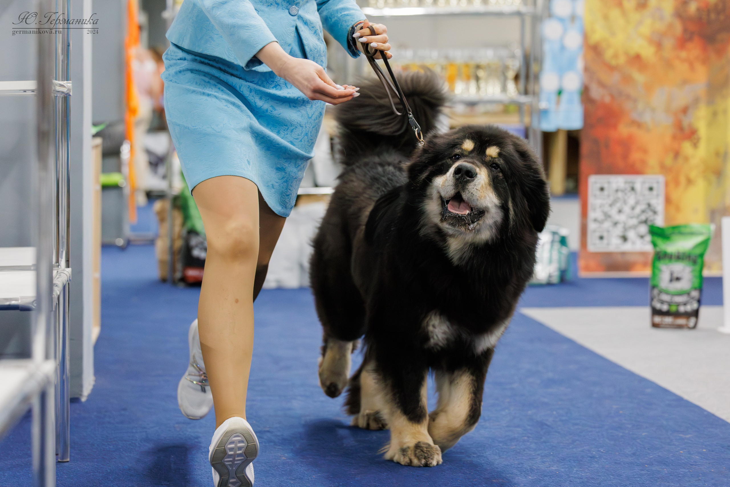 Сфера и Крокус 8,9,16 и 30.03.2025. Фотограф-анималист Юлия Германика