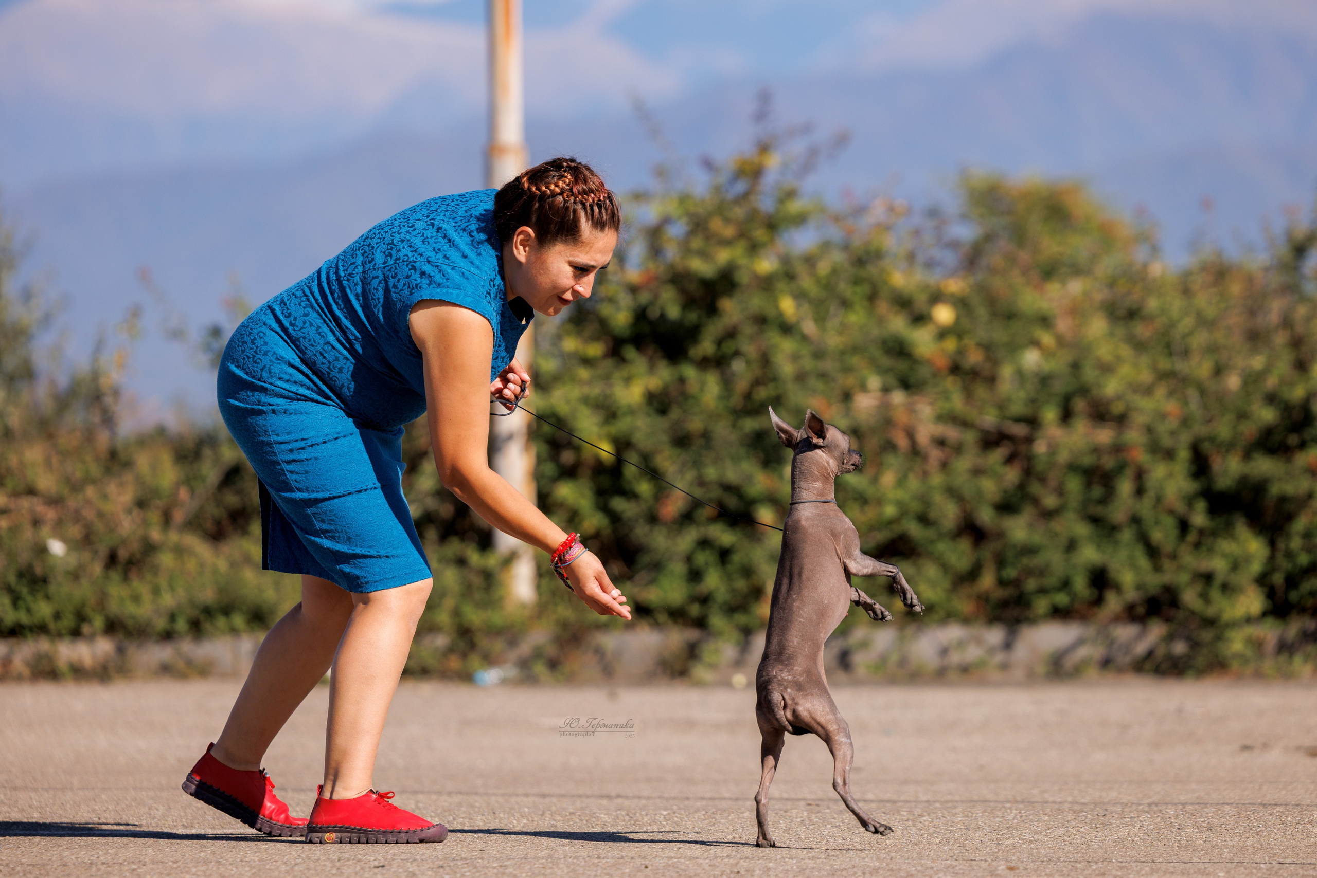 Телави 11-12.10.2025. Фотограф-анималист Юлия Германика