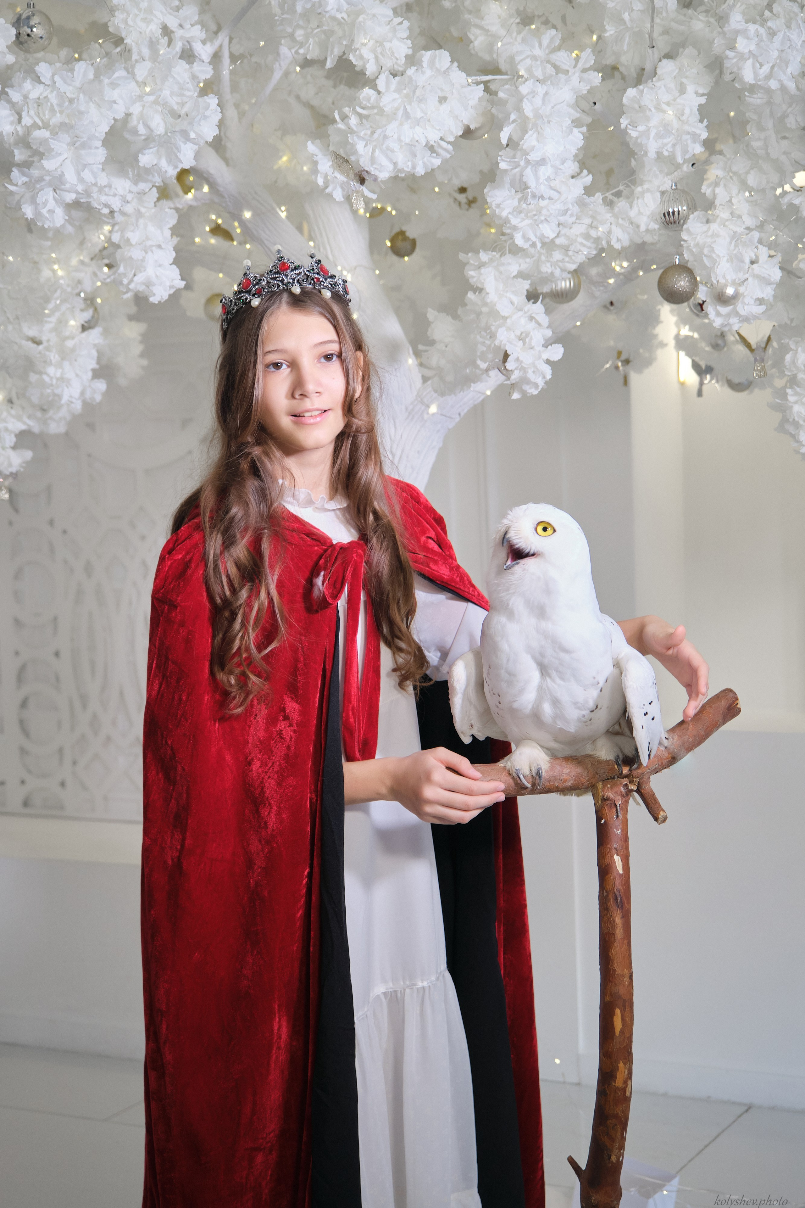 белая сова для фотосессии в москве с фотографом 
