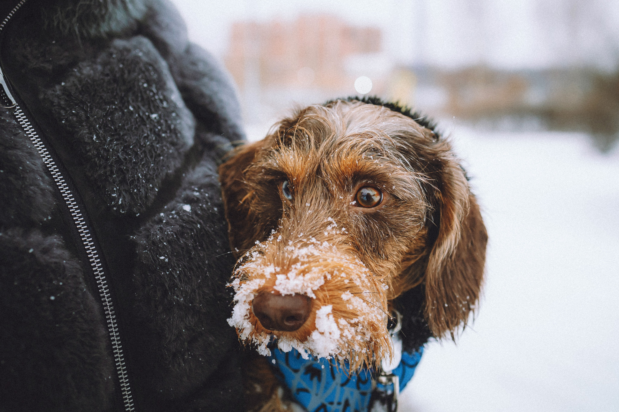 Каспер и его семья