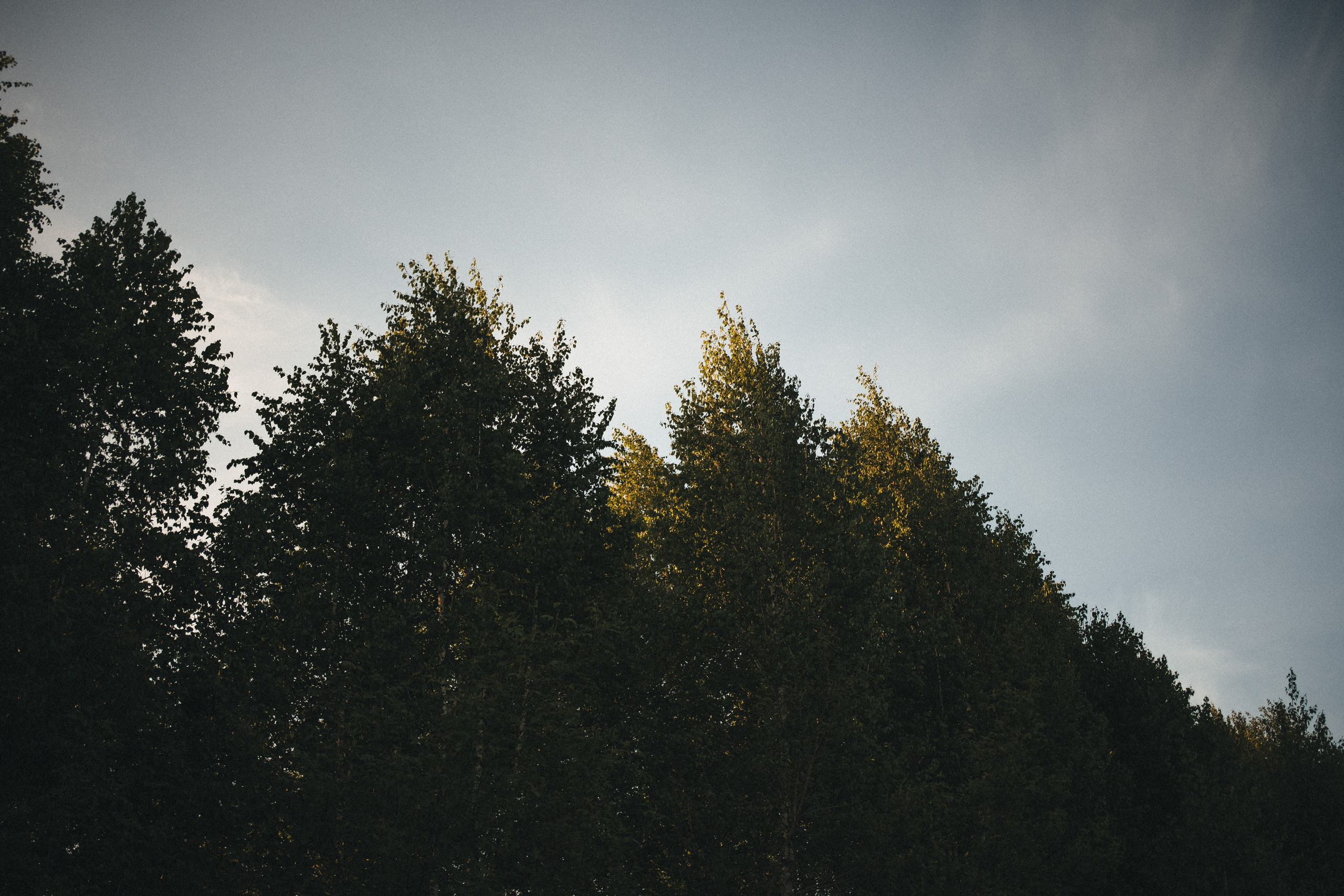 АНАСТАСИЯ |2025