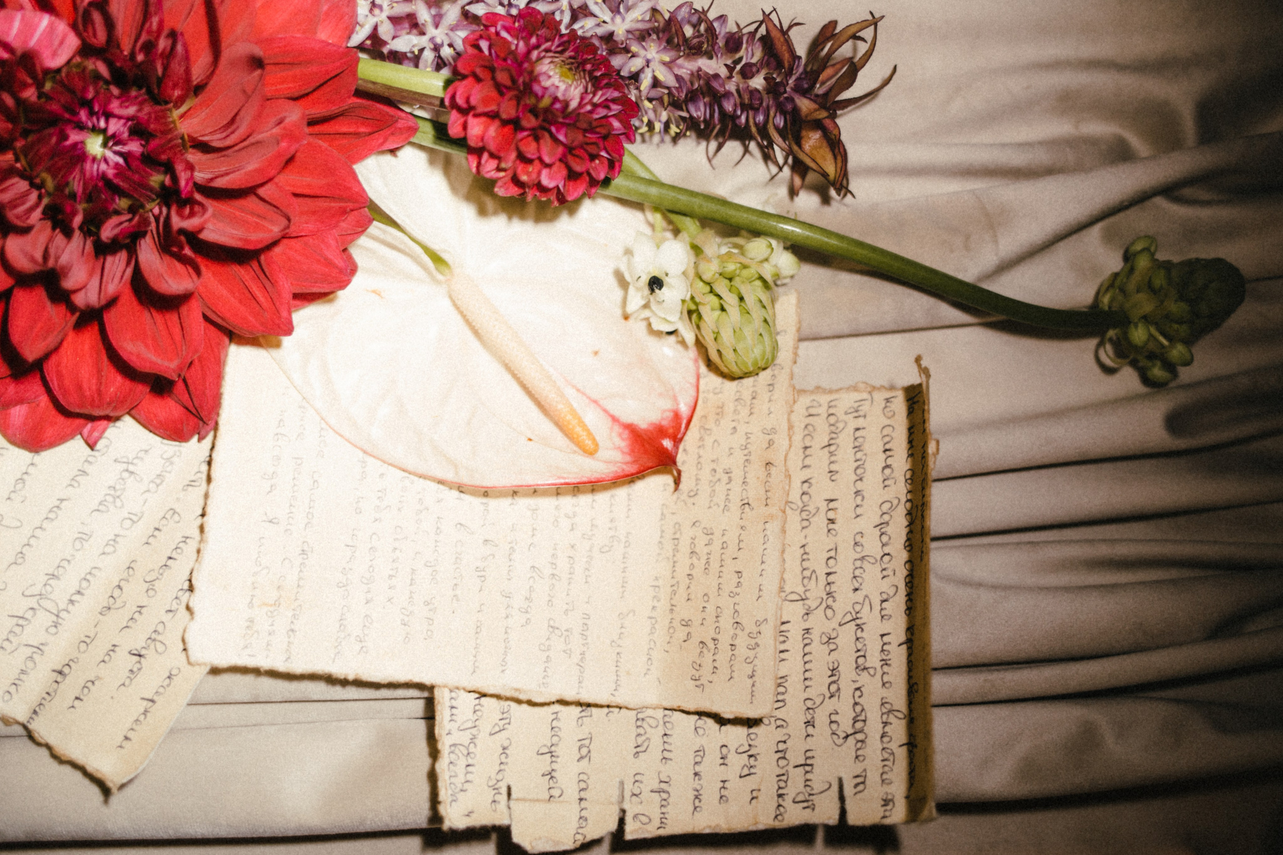 Маша и Рома. Свадебный фотограф в Краснодаре и по всему ЮФО и Миру Ольга Гусева