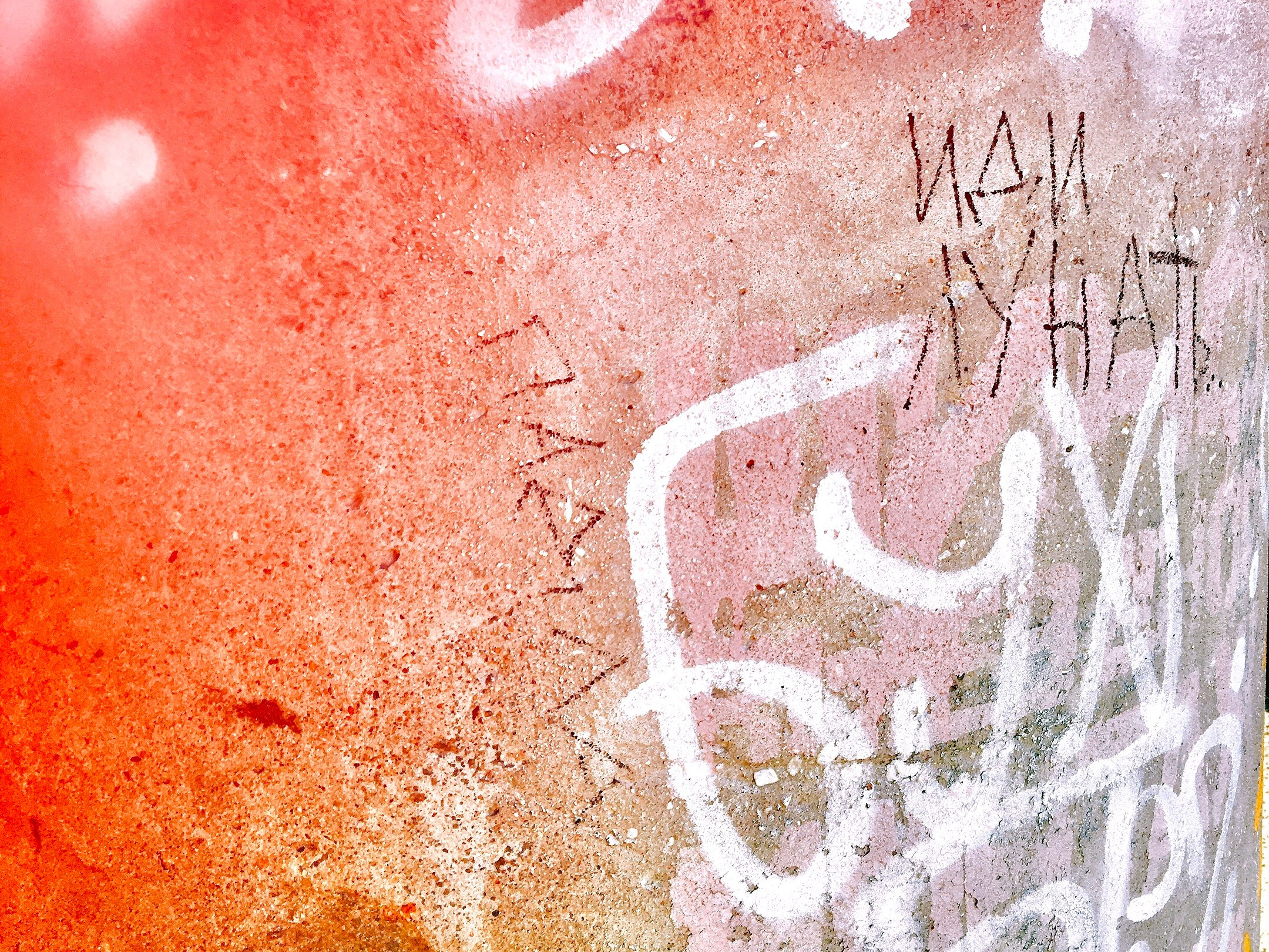 Street Caps. Alina Panover