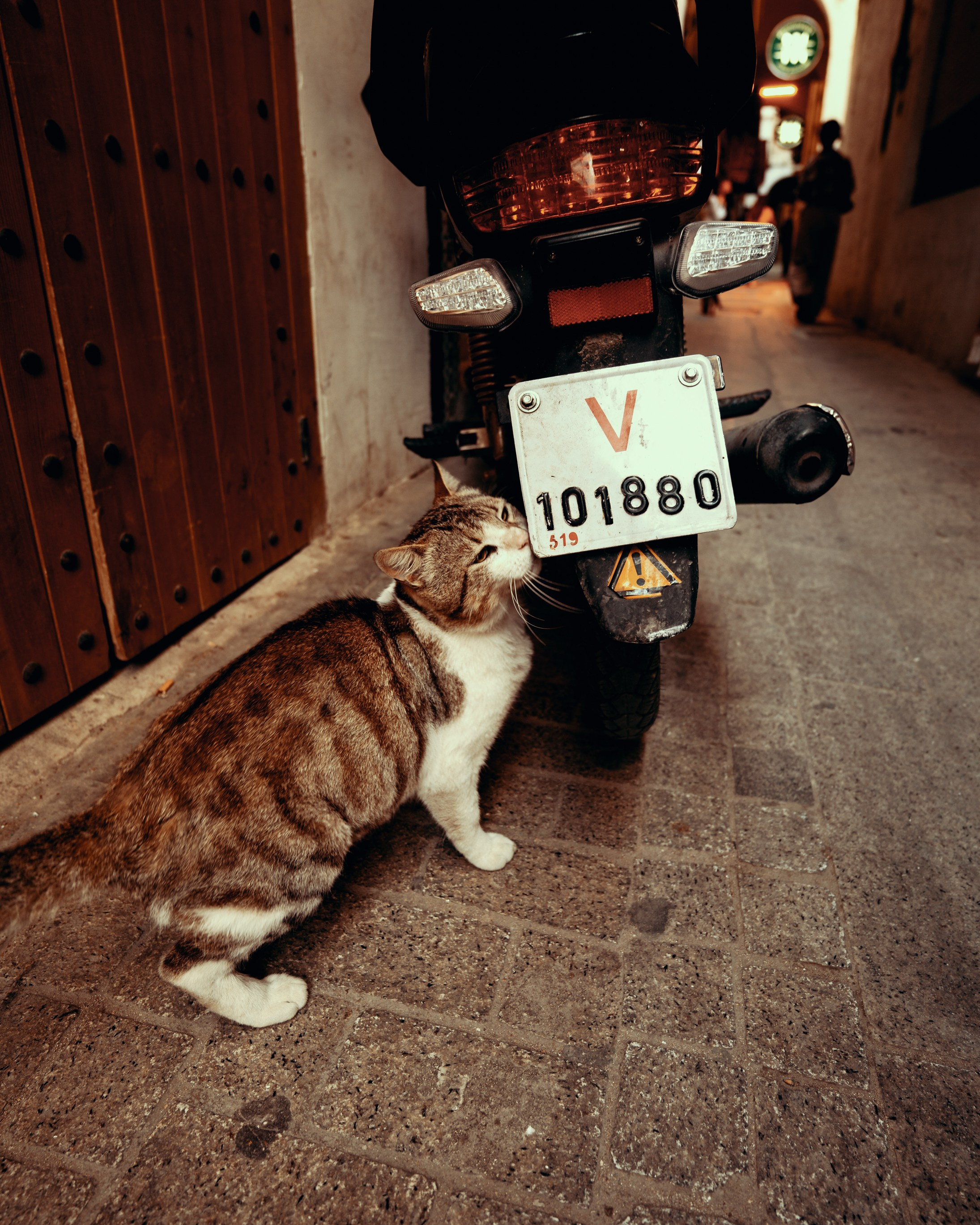 Северная Африка: Тунис, Марокко. Фотограф в Хабаровске. Фотография за 24 часа