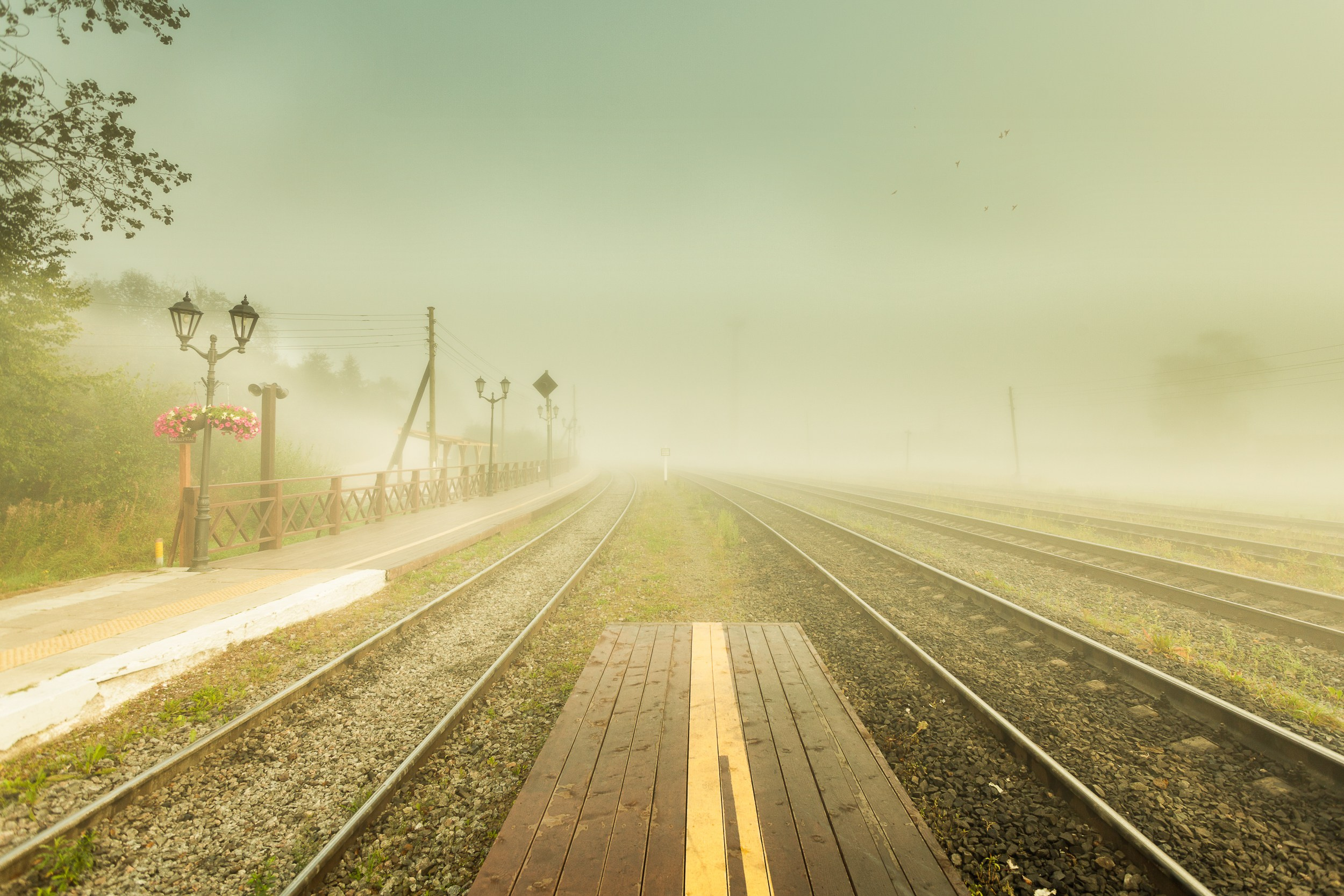 ПРОЕКТ «Куда мы едем?». Фотограф в Москве Татьяна Макотра