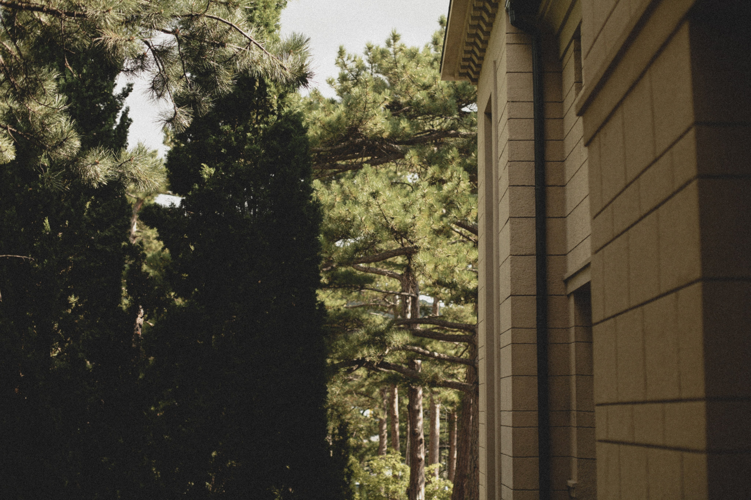 Свадьба в Паласе. Фотограф в Севастополе и Крыму Артем Волобуев