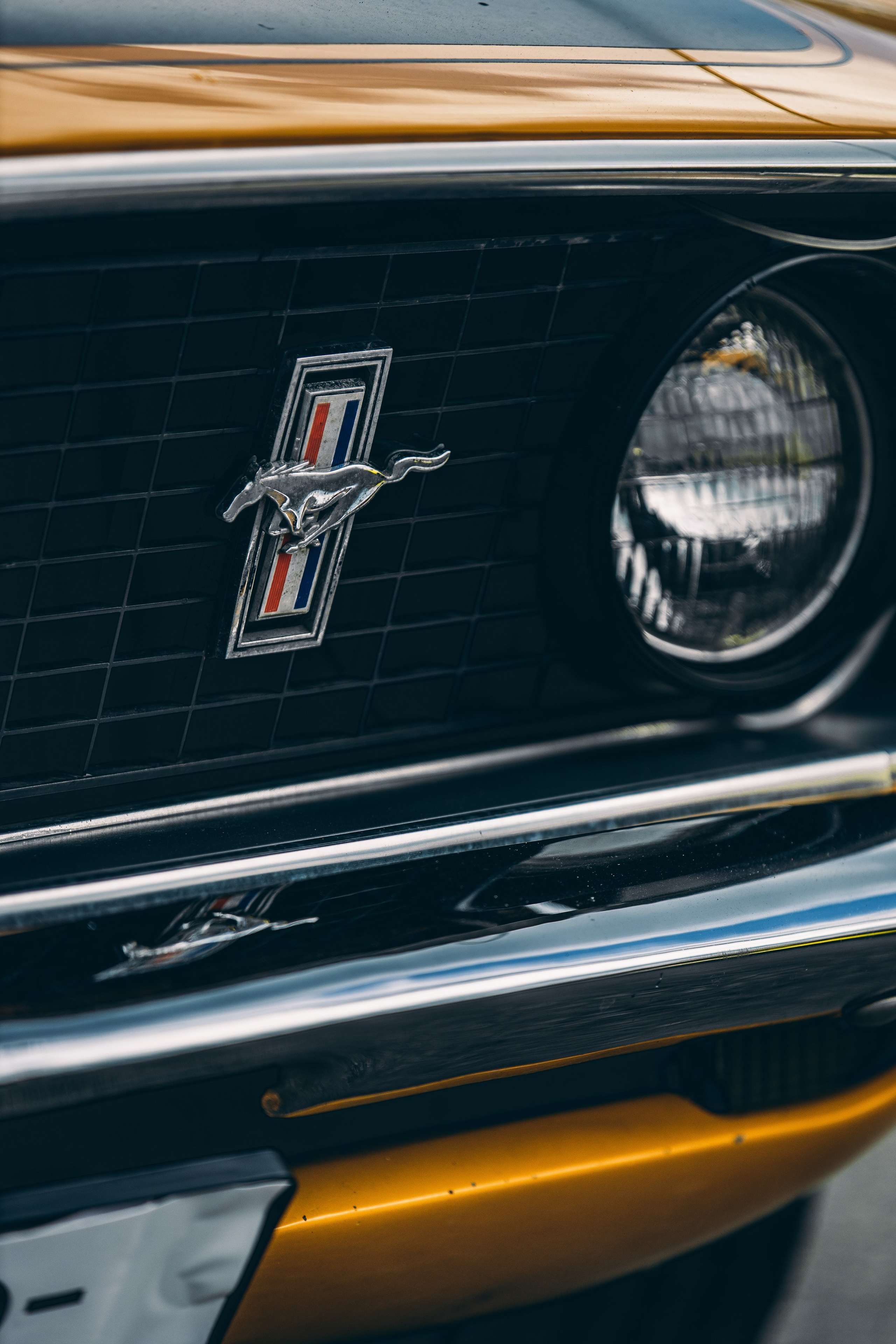 GARAGE FEST Игора Драйв 2025!. Многопрофильный фотограф в Санкт-Петербурге Светлана Вельгас