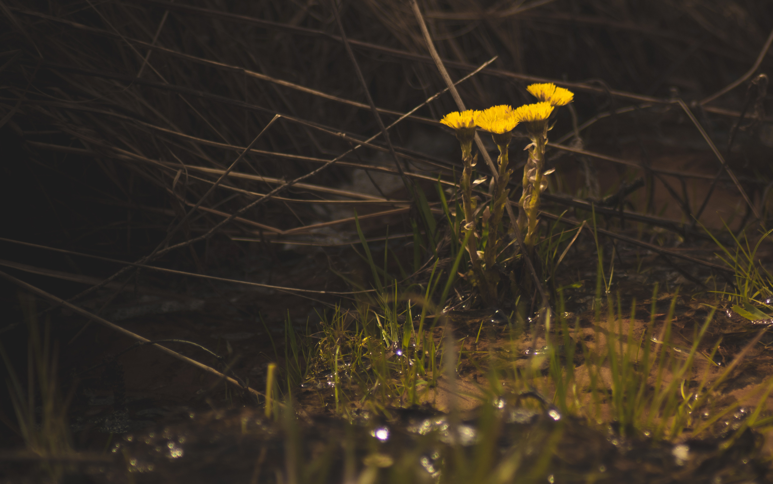 Репортаж. Фотограф/Ретушер