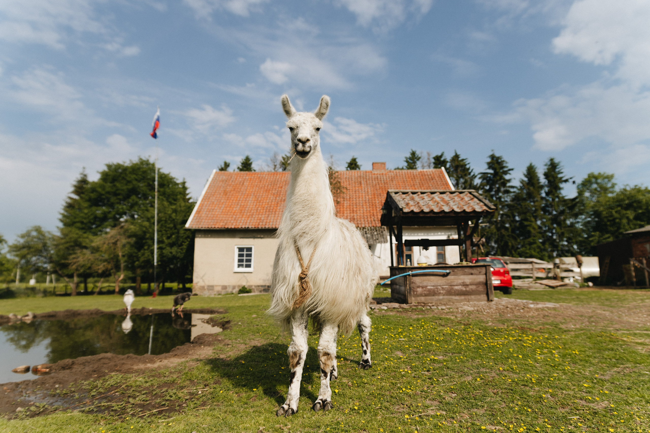 Тур — девичник LEF.TRAVEL.CLUB. KRIS KRUPINNIKOVA