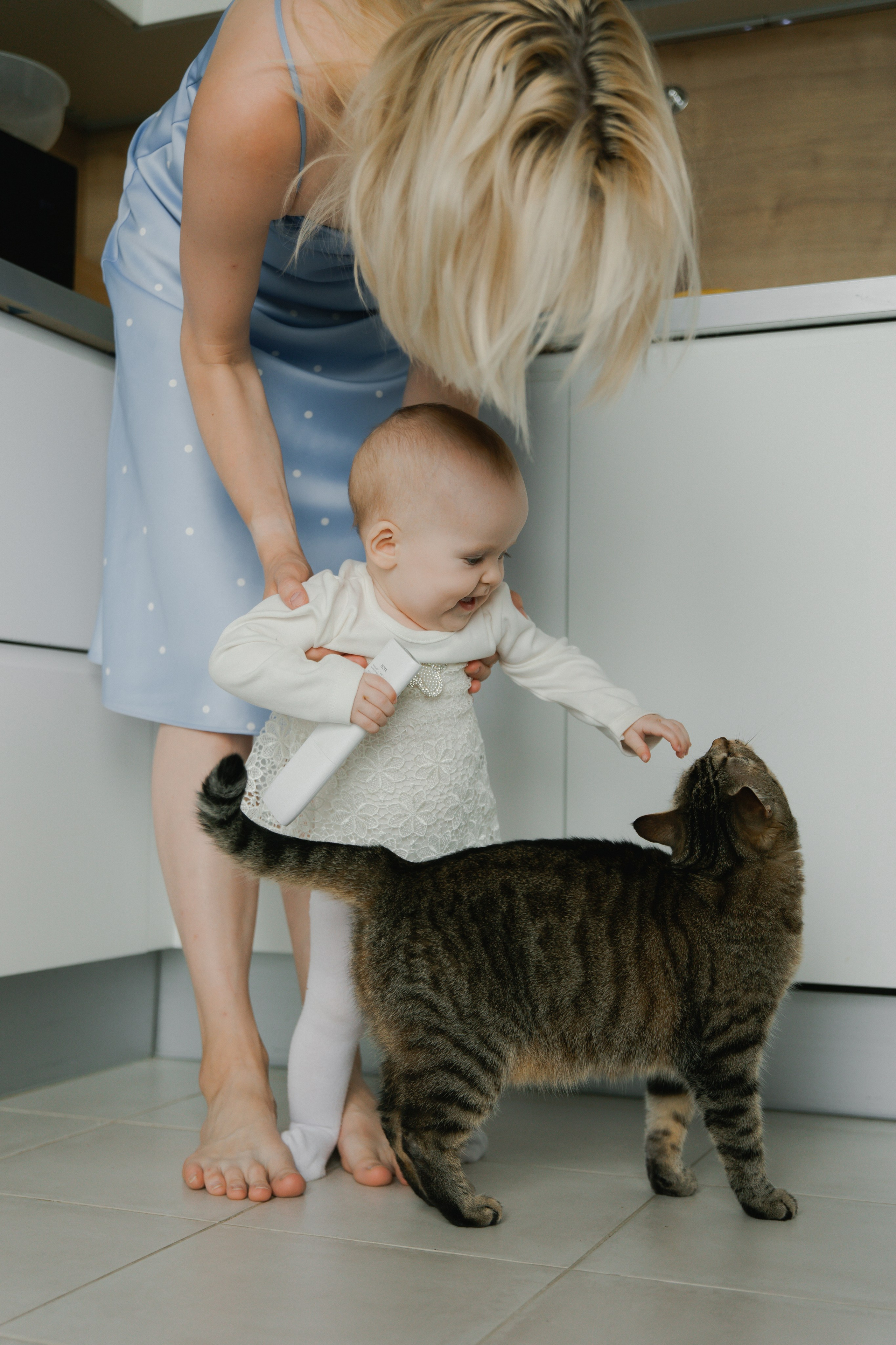 Polja. Главная