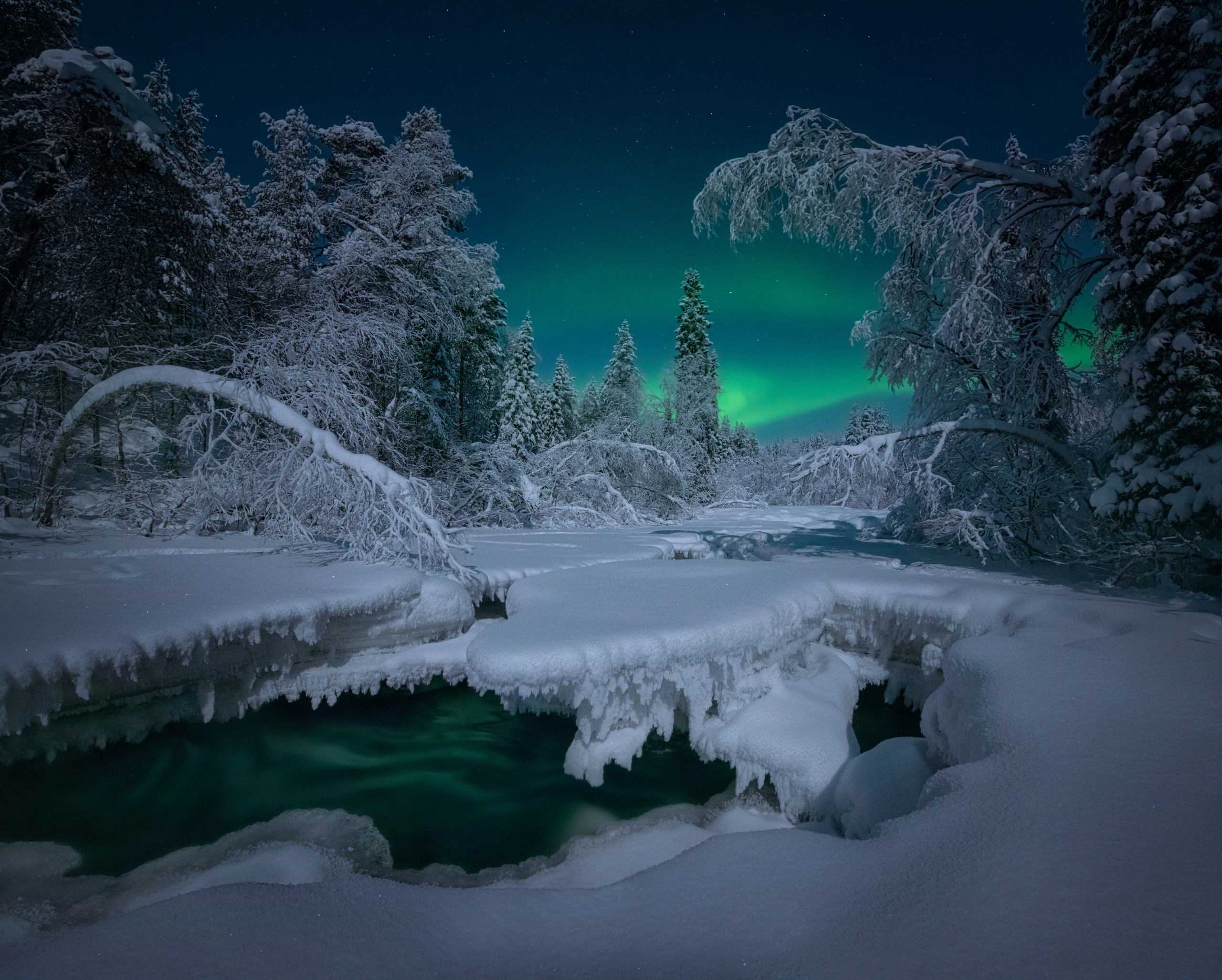 Пейзажный фотограф Ермолина Елена