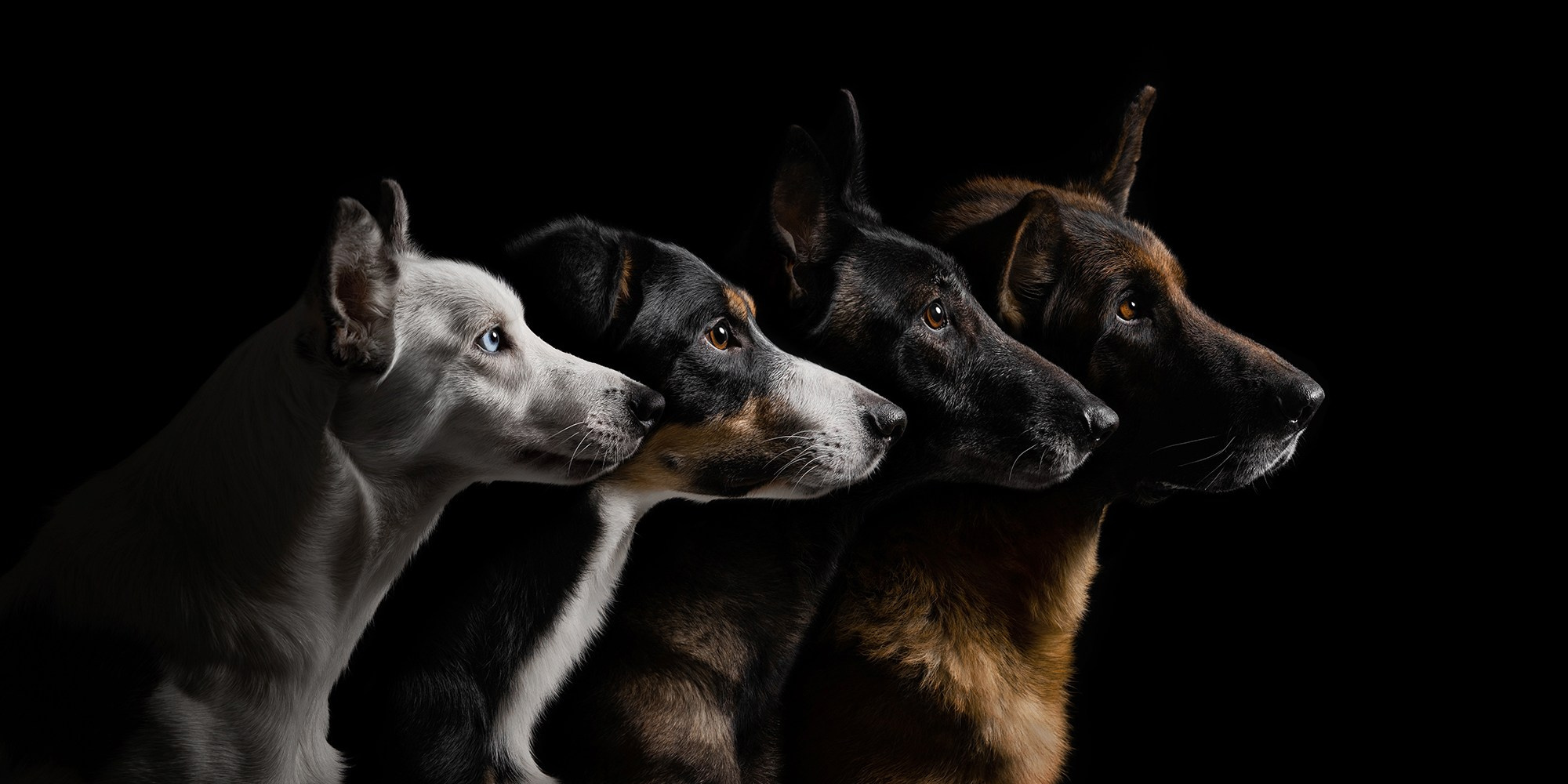 Проект портреты на чёрном фоне. Фотограф Анна Тюрина