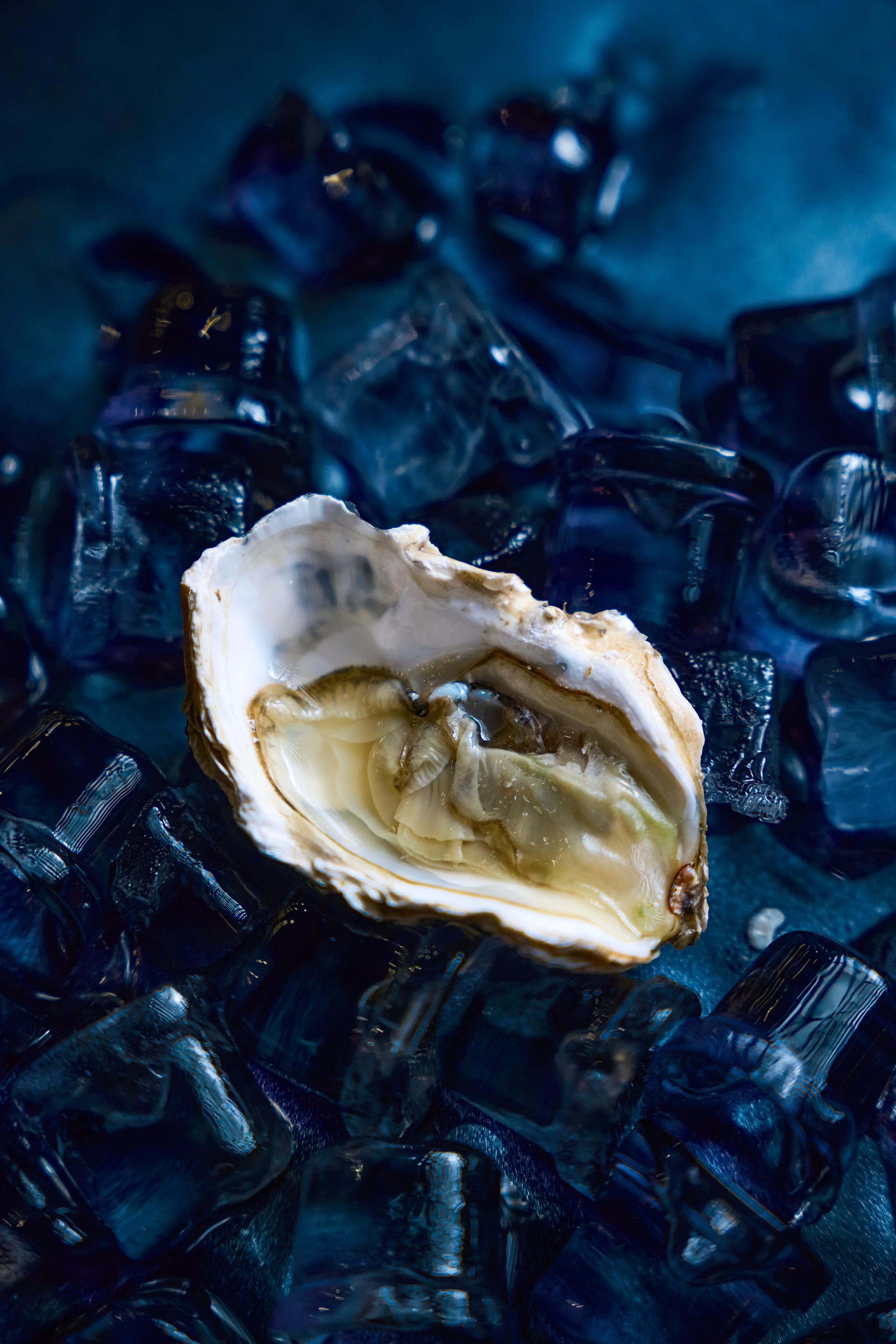 Рестораны. Константин Сафонов