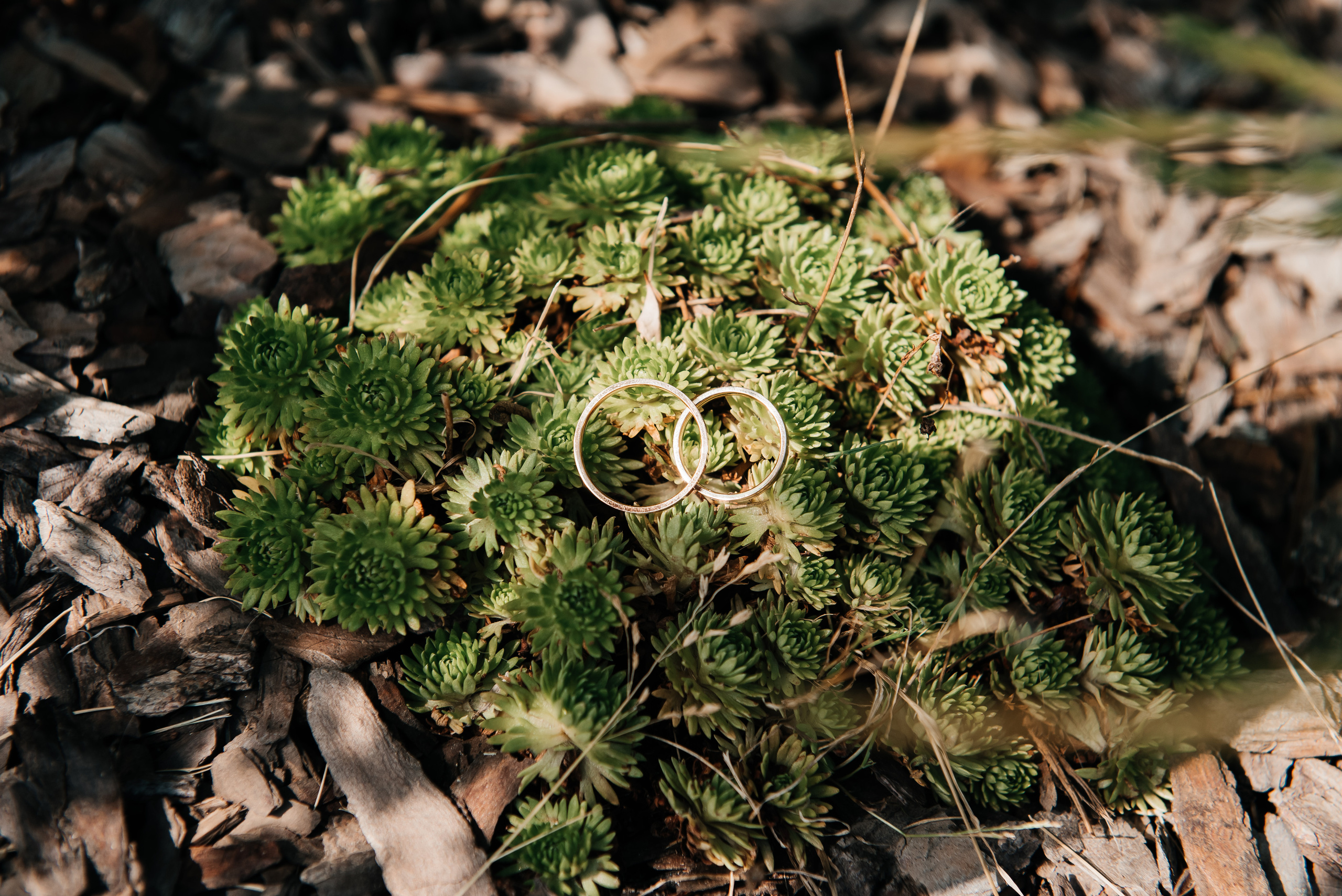 Никах Эдуард и Вероника. Профессиональный фотограф Артем Рахимов в Казани