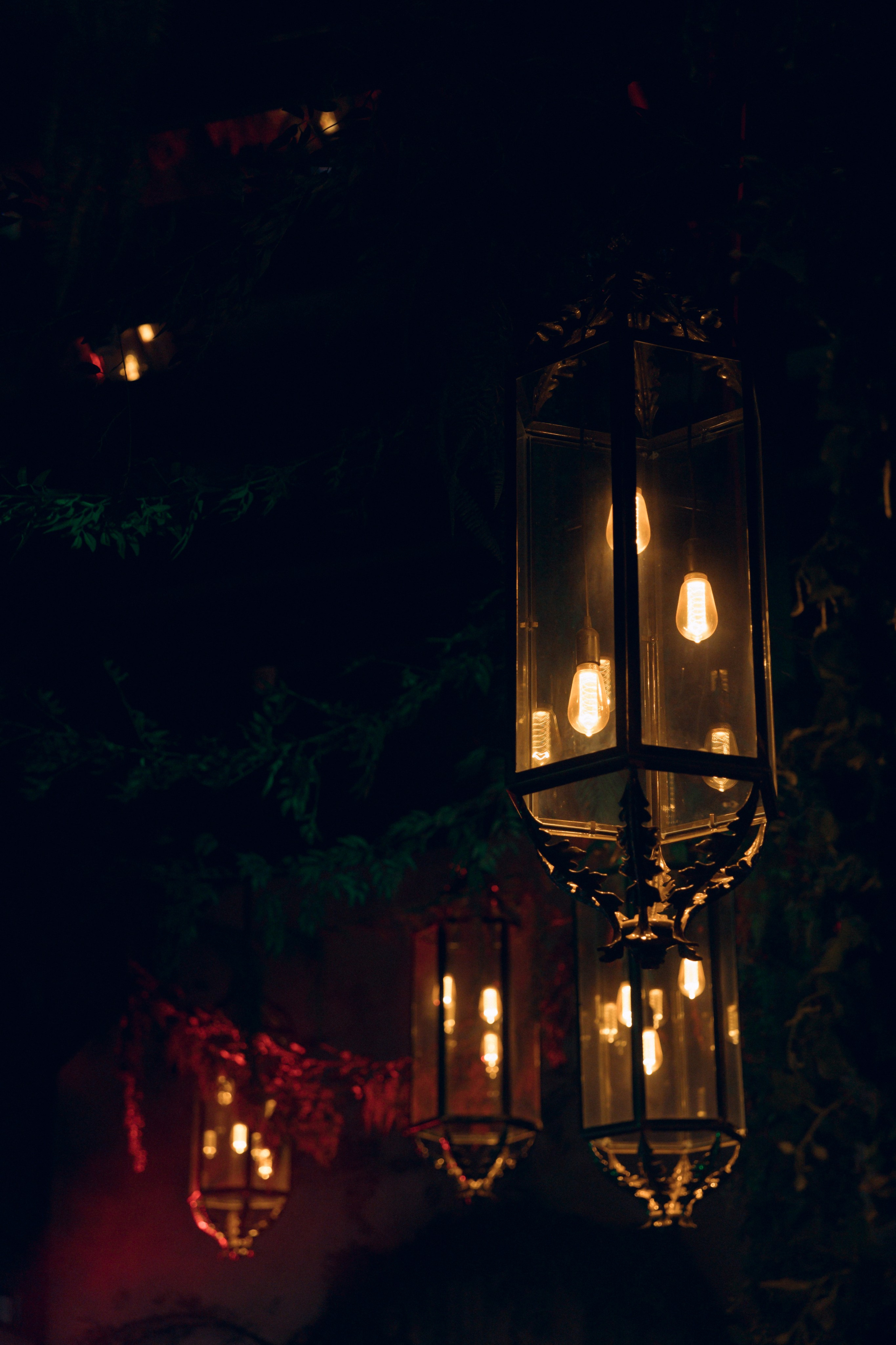 Николай и Юлия, 26 октября 2024. Свадебный  и семейный фотограф в Краснодаре