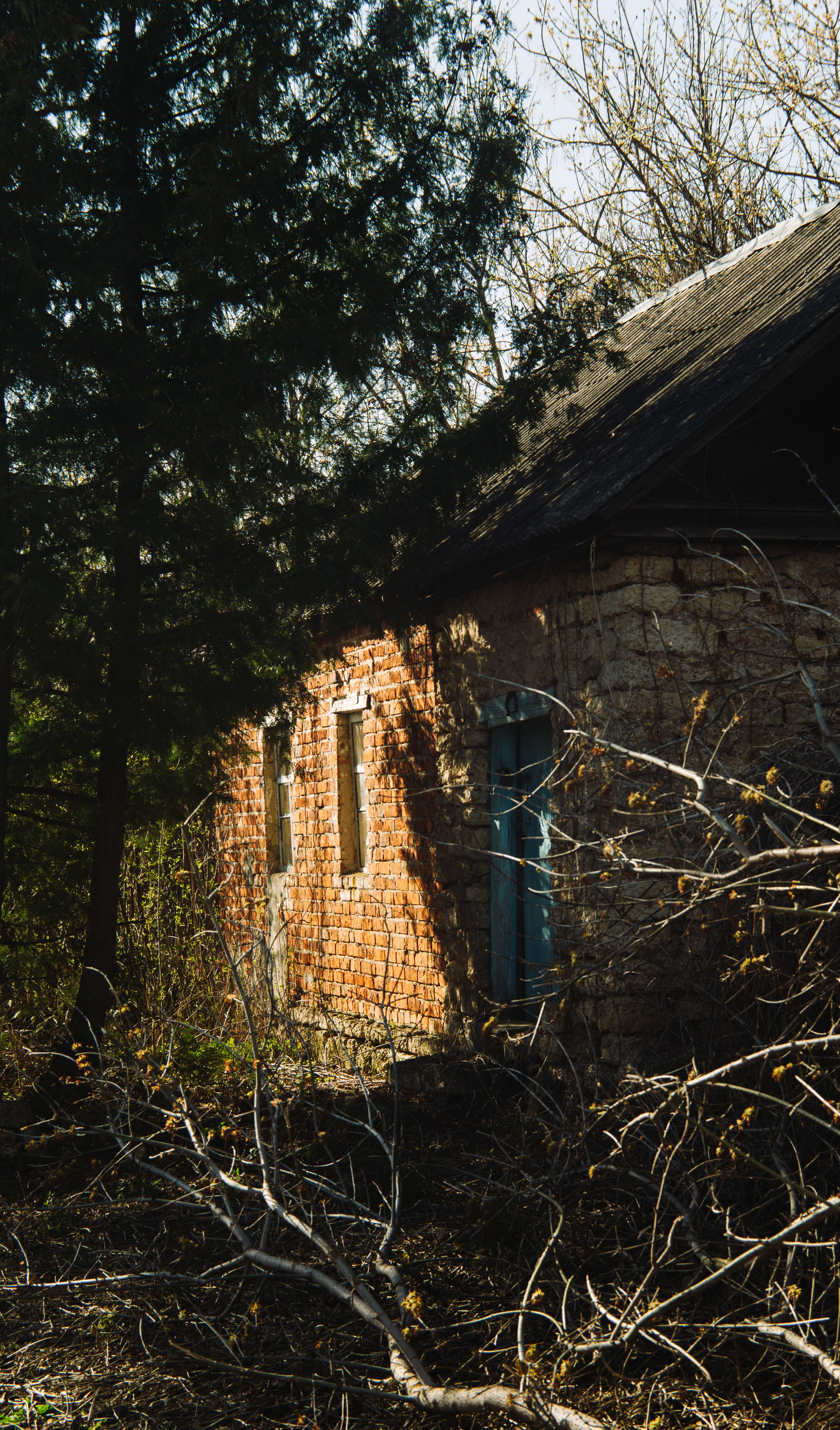 Орановка. Репортажный и портретный фотограф в Липецкой, Воронежской, Московской области Тёма Белоусов