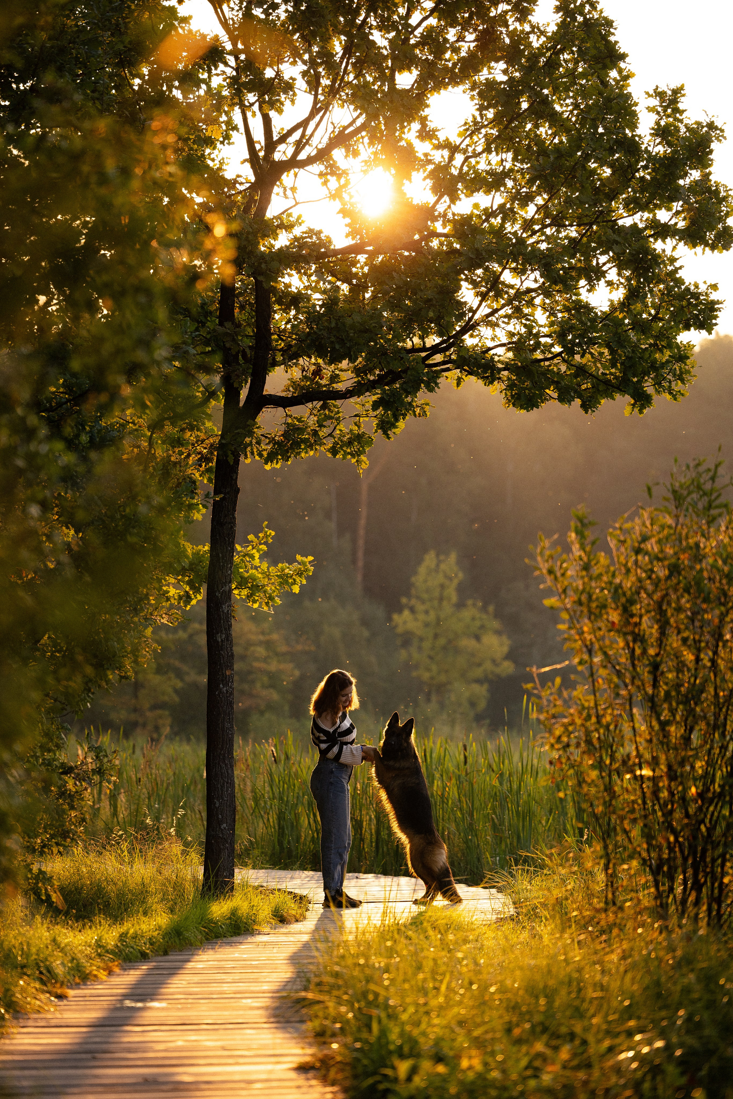 Алена, Матвей, Фанни и Фрея. Фотограф и видеограф анималист Аганина Дарья
