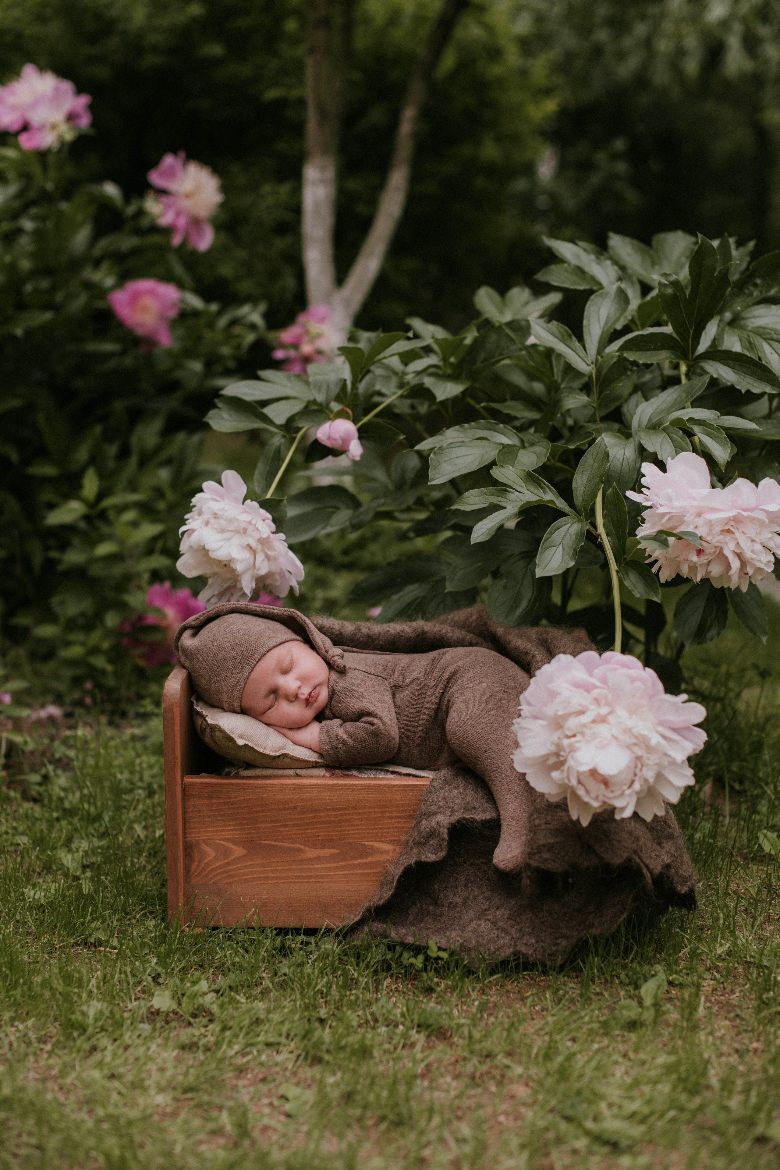 Младенцы. Семейный фотограф в Москве Полина Ситникова