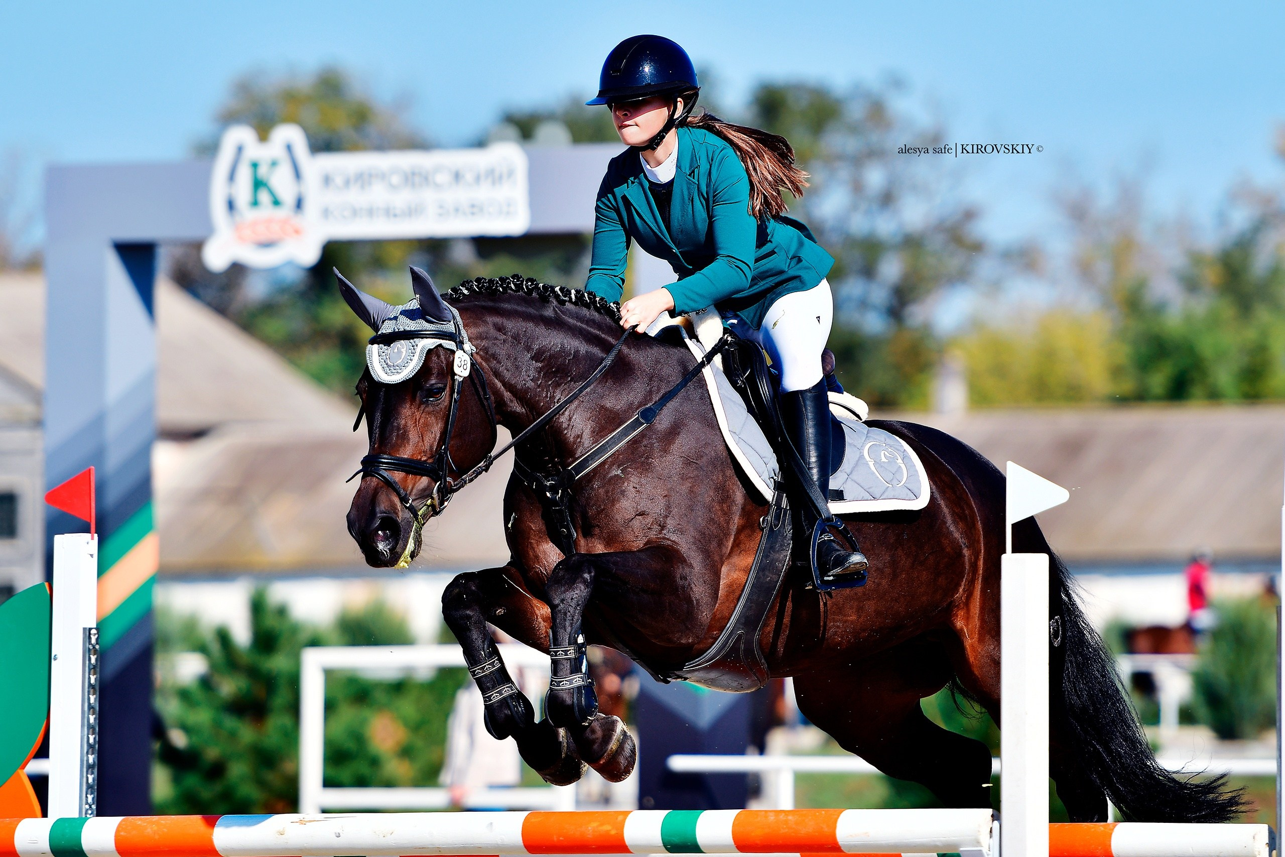 Кировский конный завод. Конный фотограф Alesya Safe