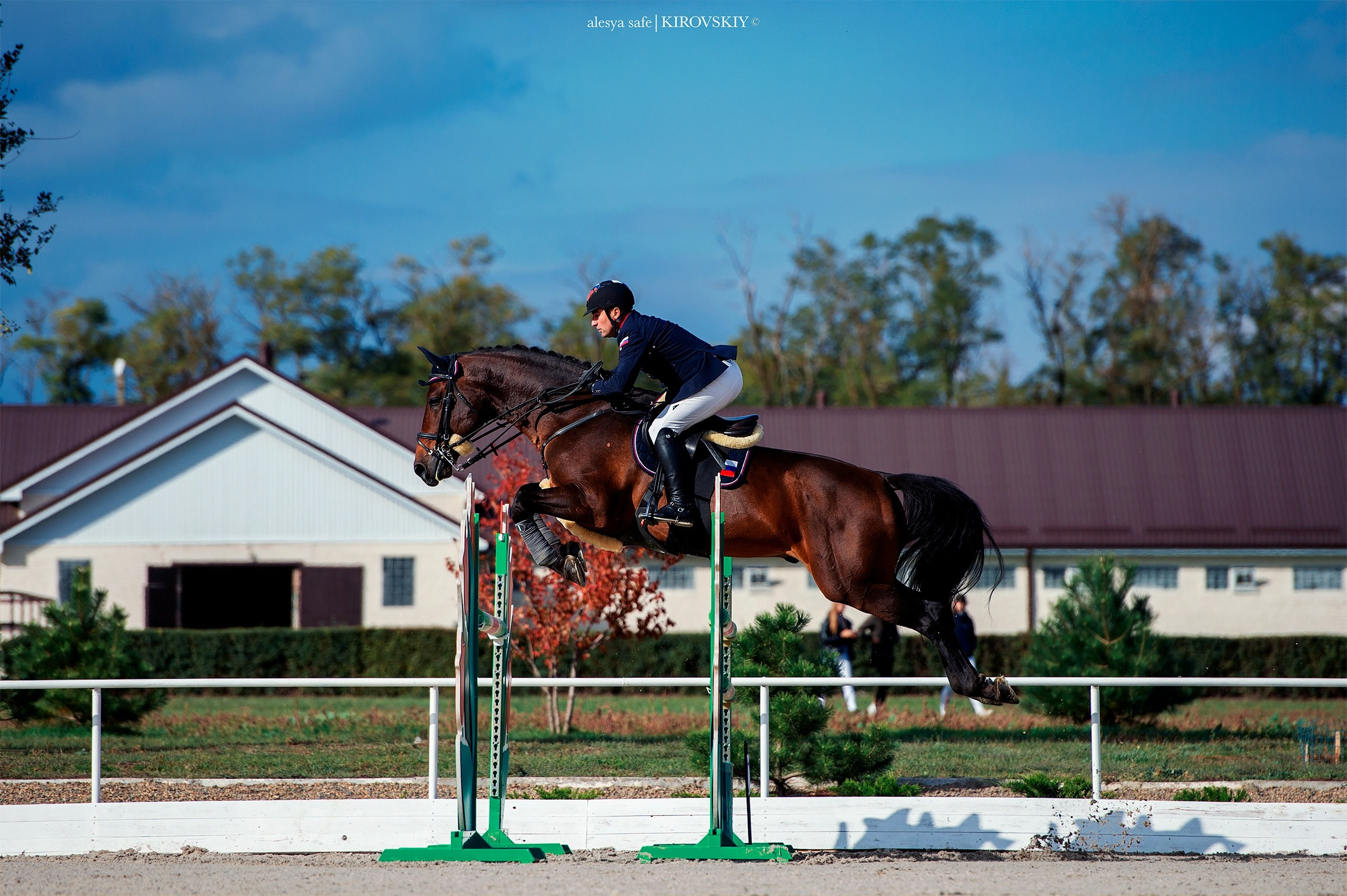 Кировский конный завод. Конный фотограф Alesya Safe