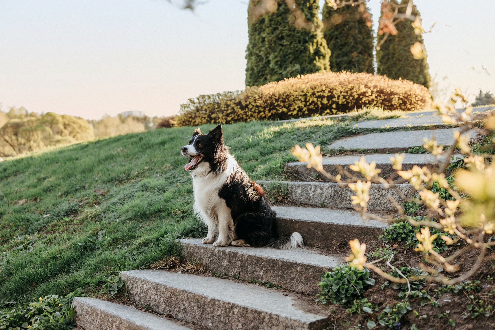 Аня и Иден. Фотограф-анималист Елена Радченко, Москва