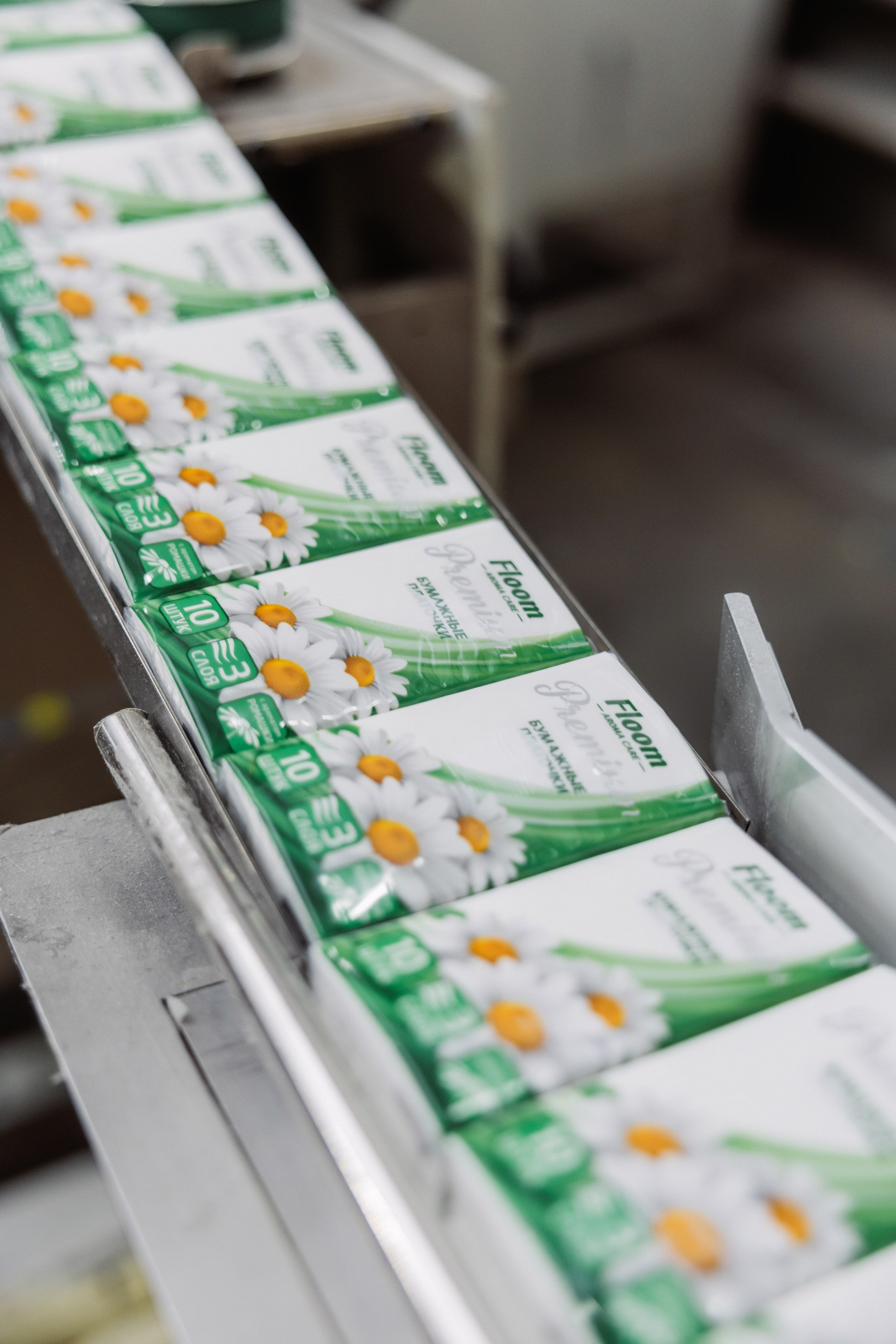 ООО «БЕСТ ПАПИР», г. Сергиев Посад. ФОТОГРАФ ИРИНА ШАМАТАВА