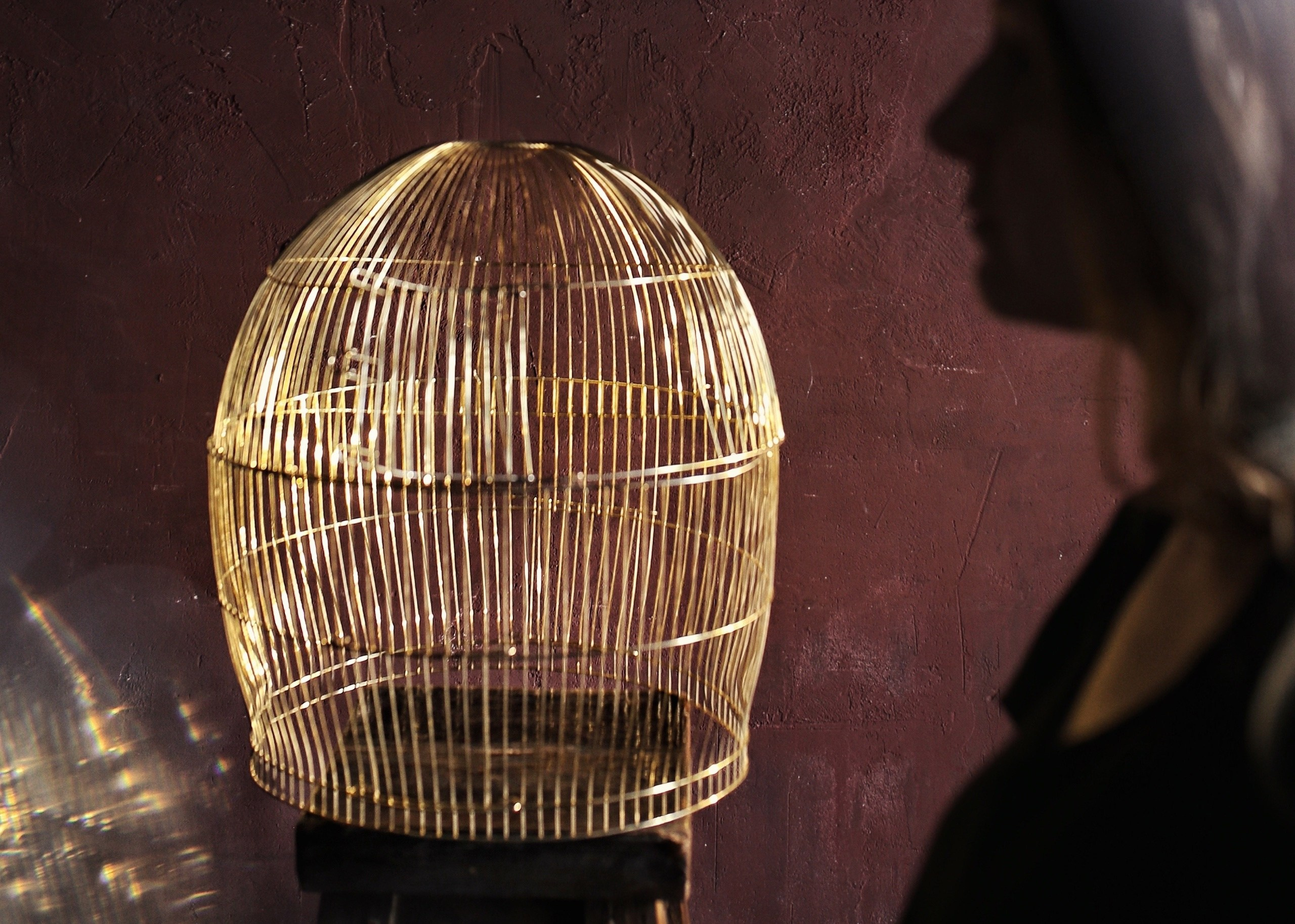 автор: Анна Петушкова