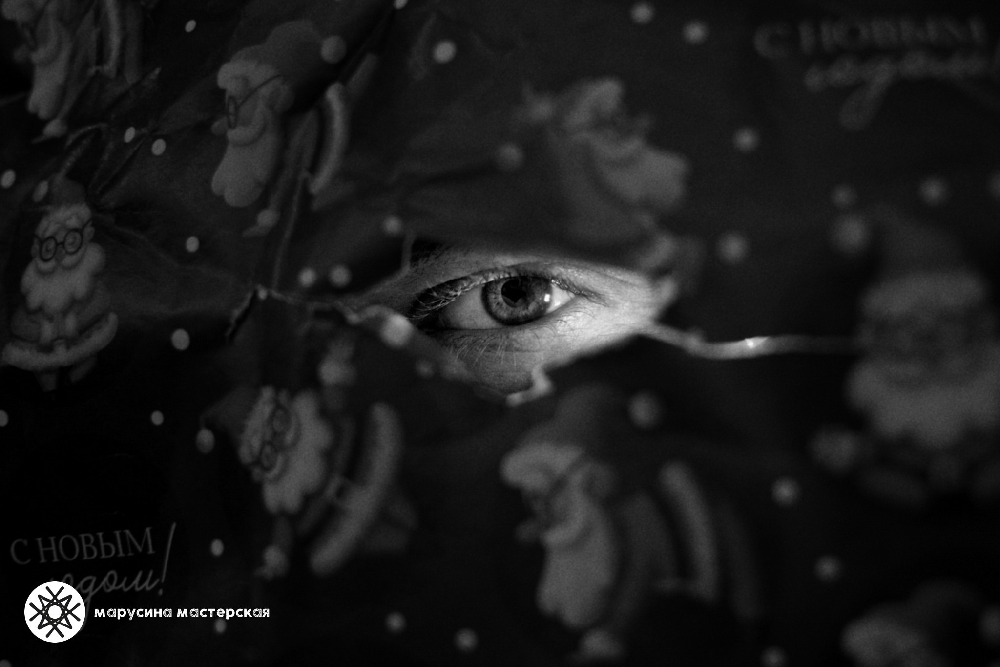 Светлана Макурина