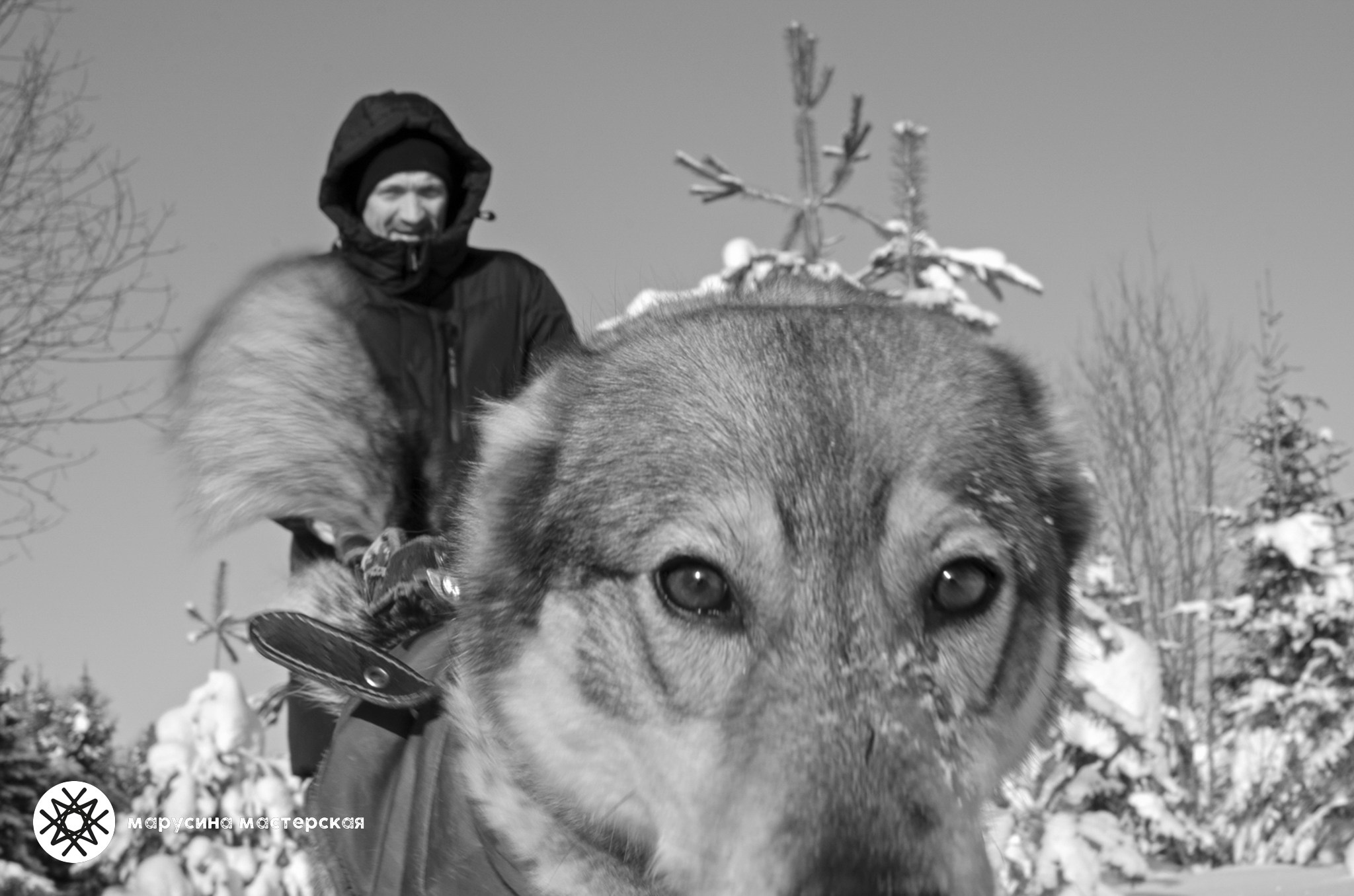 Авторская фотография Анны Скопиной, участницы клуба «Пространство»