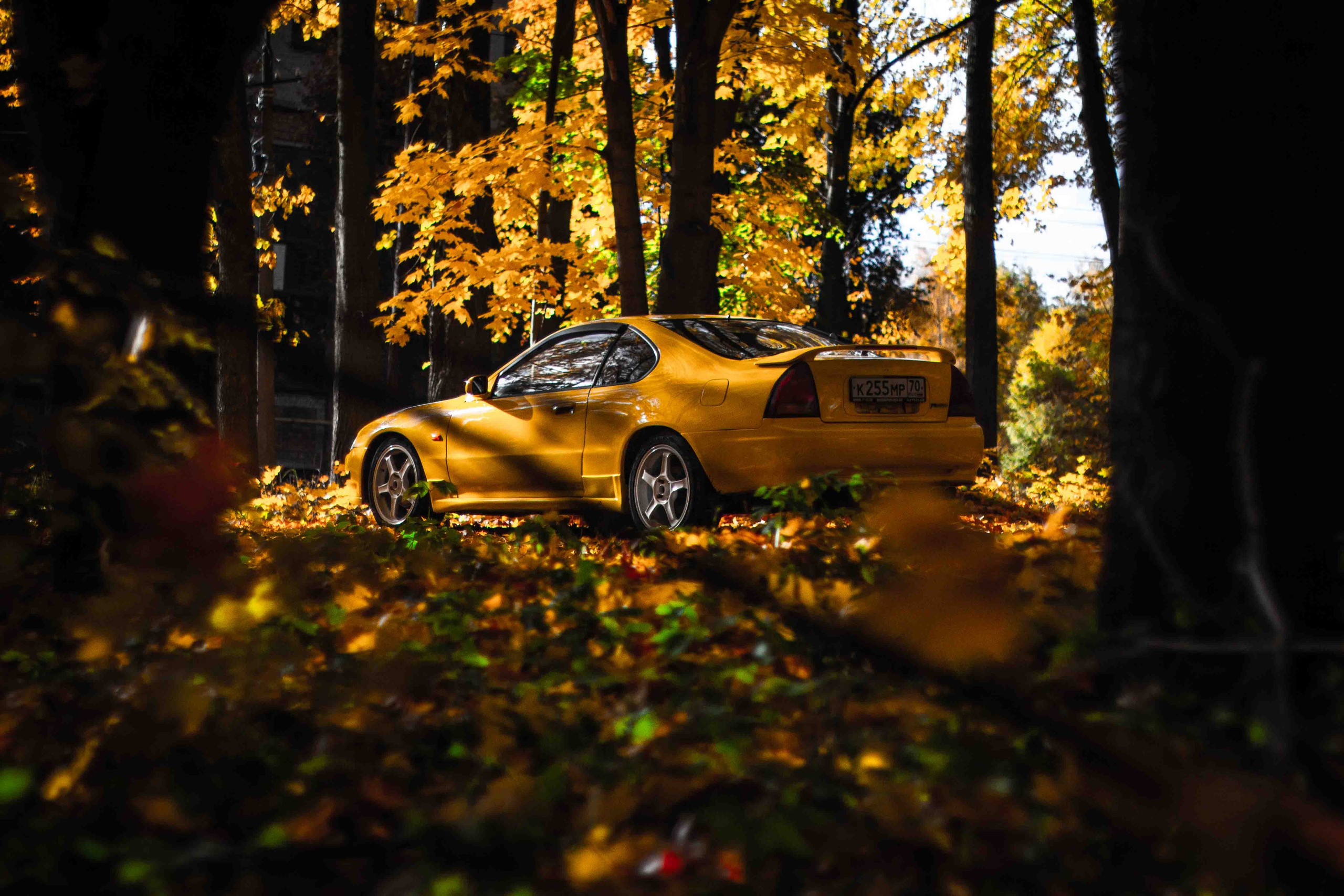 Осеннее настроение. Александр Попов