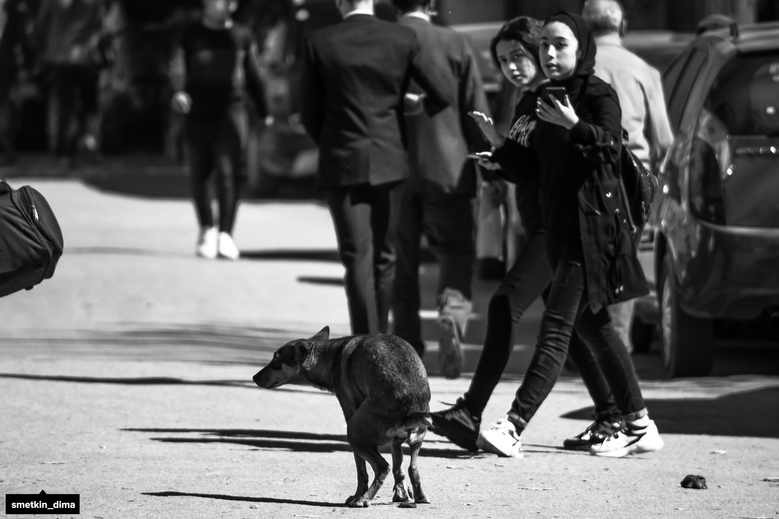 Репортажная фотосессия в Египте. Фотограф Сметкин Дима. Фотосессии в Москве и по миру