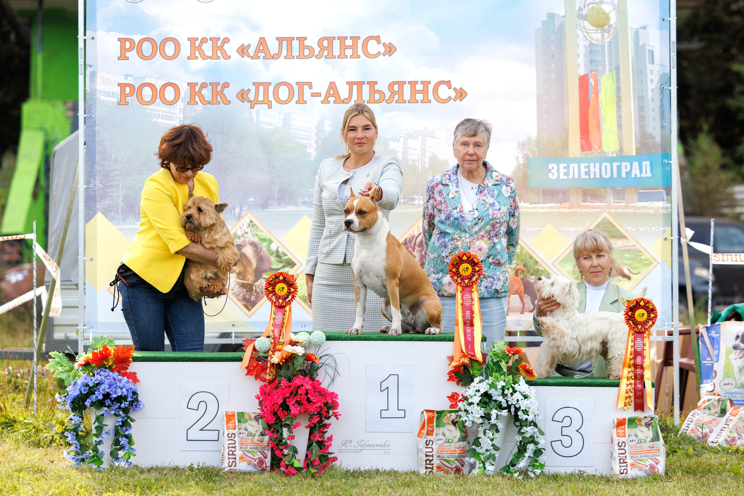 Зеленоград 13.09.2025. Фотограф-анималист Юлия Германика