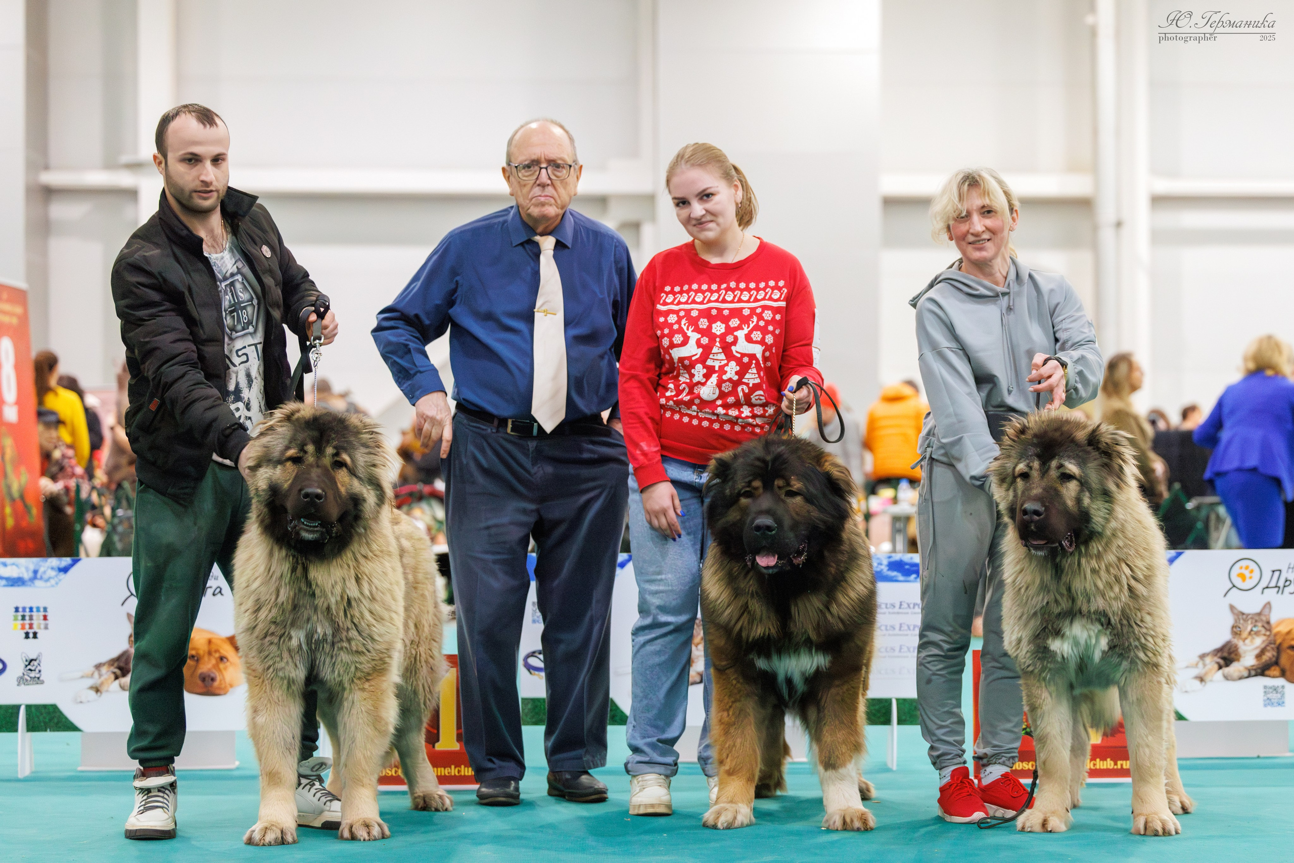 Гран-При 8.02.2025 и Крокус 09.02.2025. Фотограф-анималист Юлия Германика