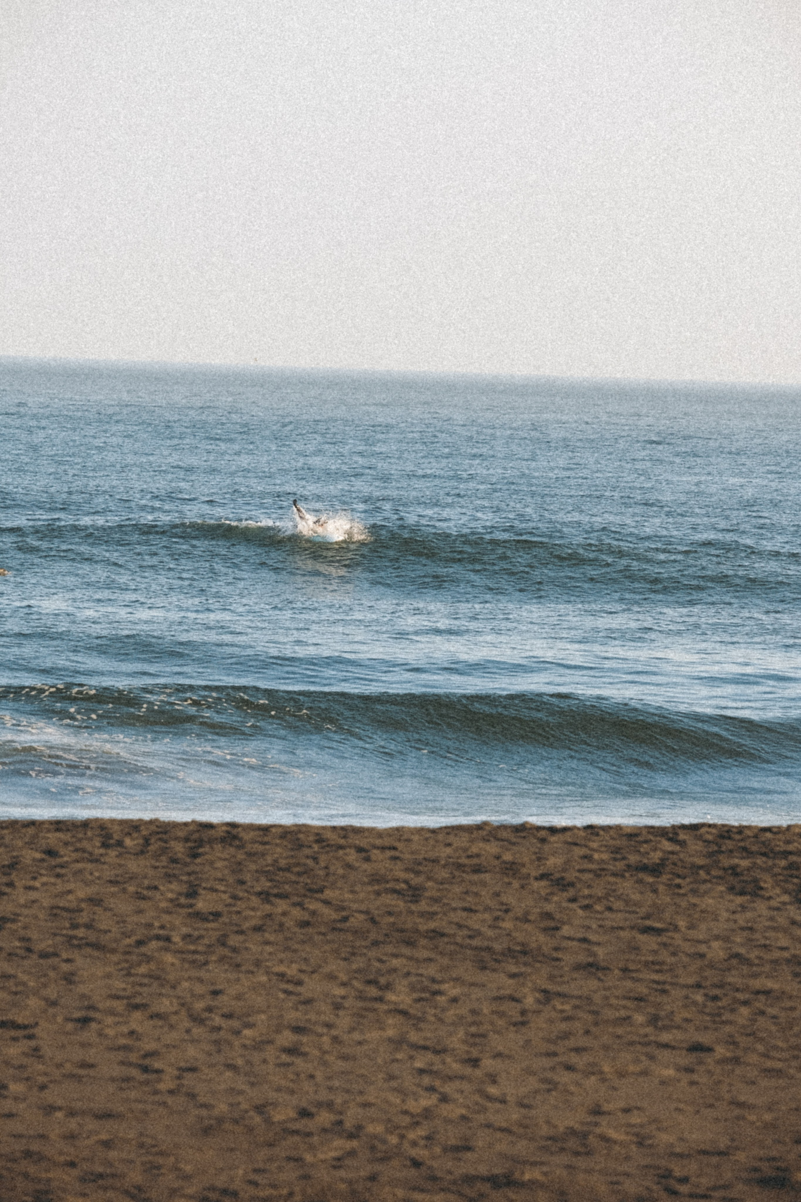 Тихий океан. Профессиональный фотограф, Санкт-Петербург — Виктория Богомолова