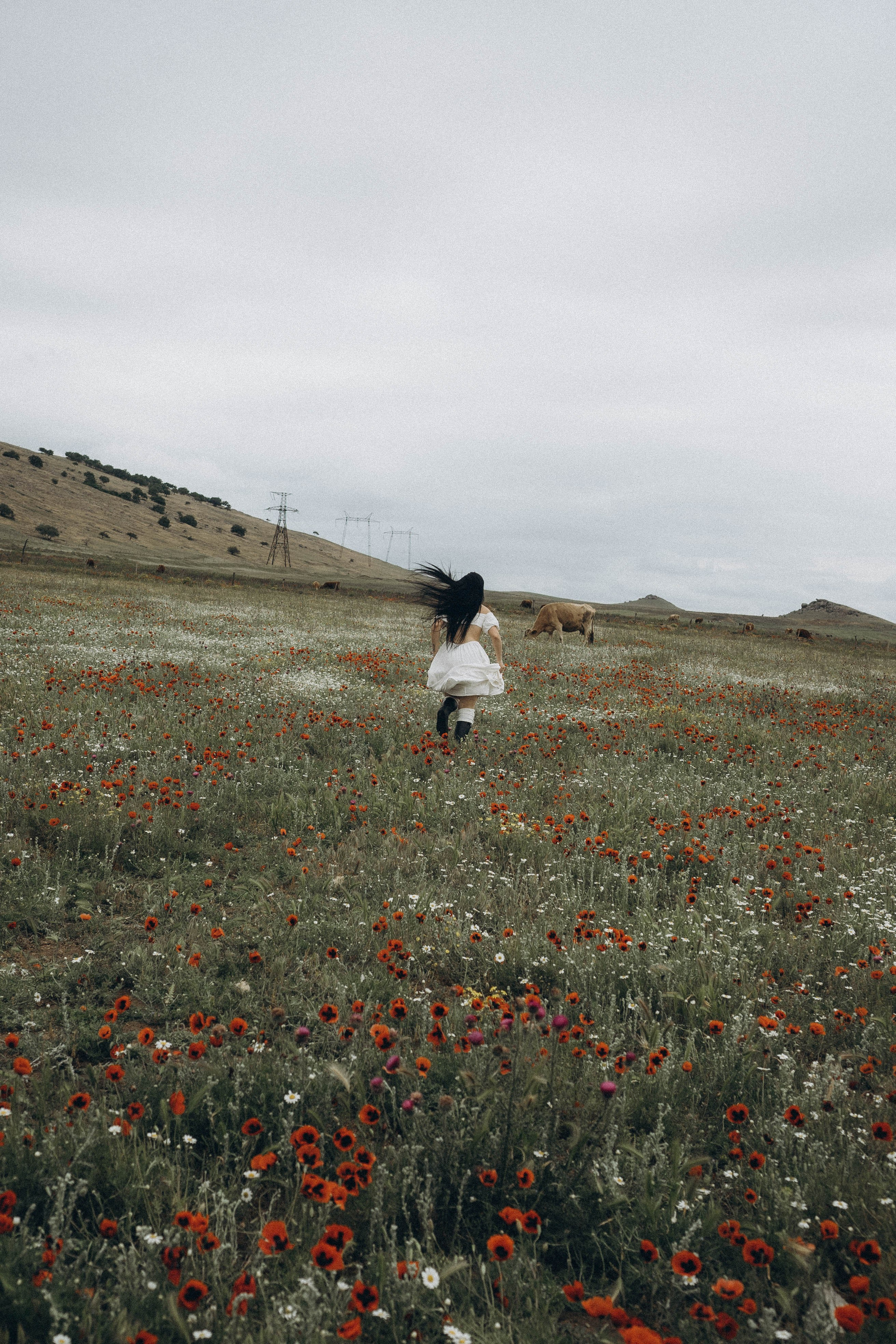 Маковое поле. Профессиональный фотограф, Санкт-Петербург — Виктория Богомолова