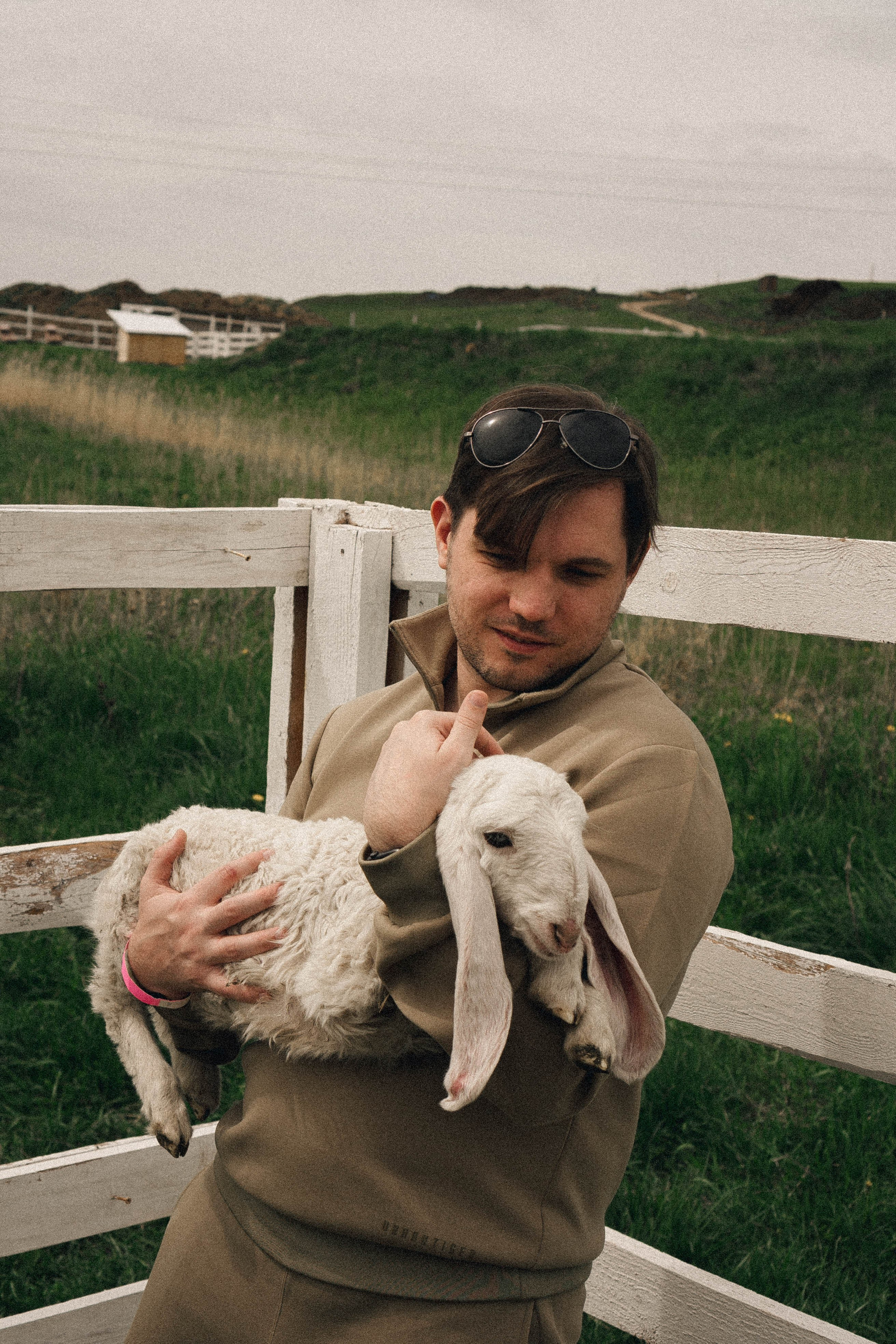 Ферма Альпак. Профессиональный фотограф, Санкт-Петербург — Виктория Богомолова