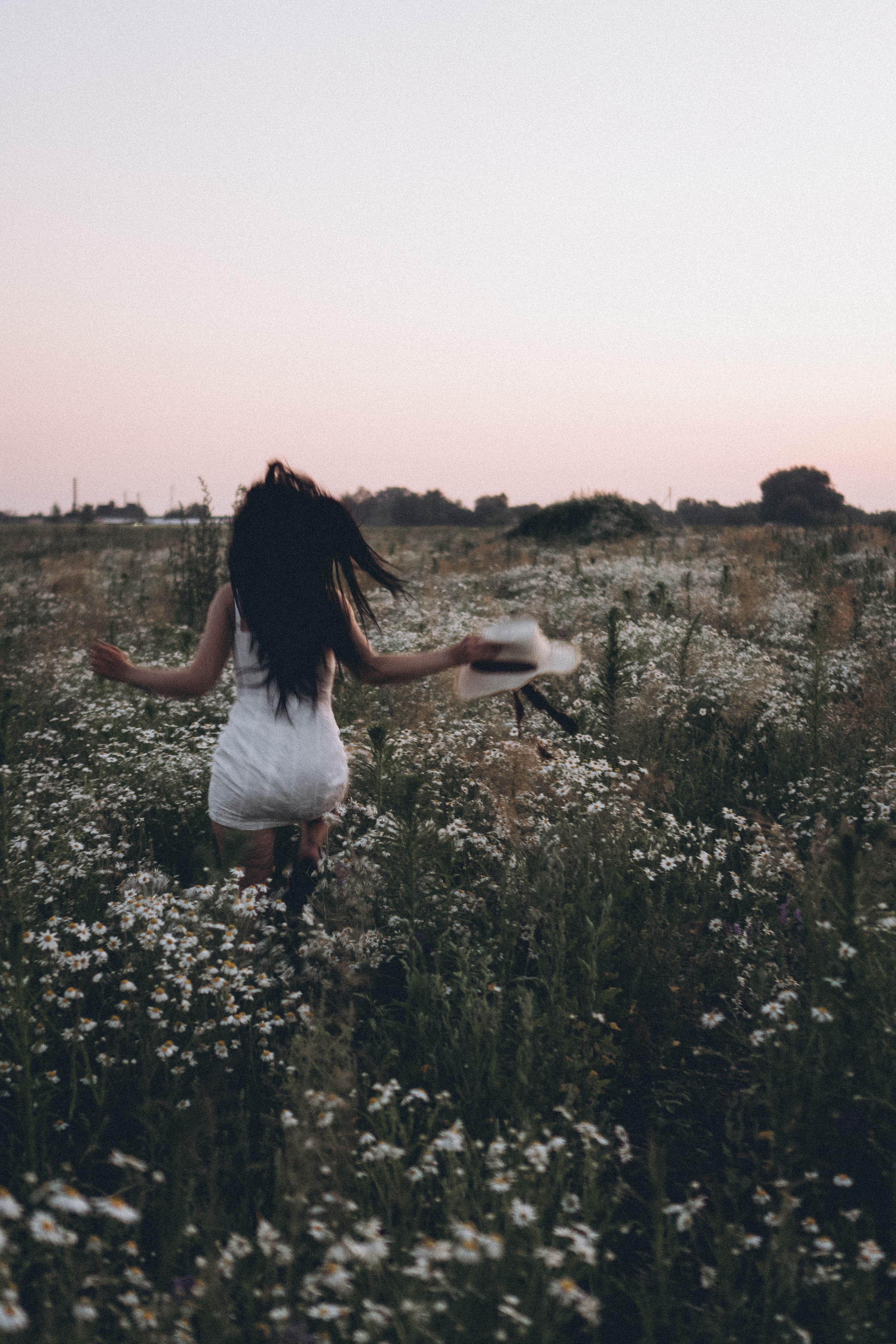 Ромашковое поле. Профессиональный фотограф, Санкт-Петербург — Виктория Богомолова