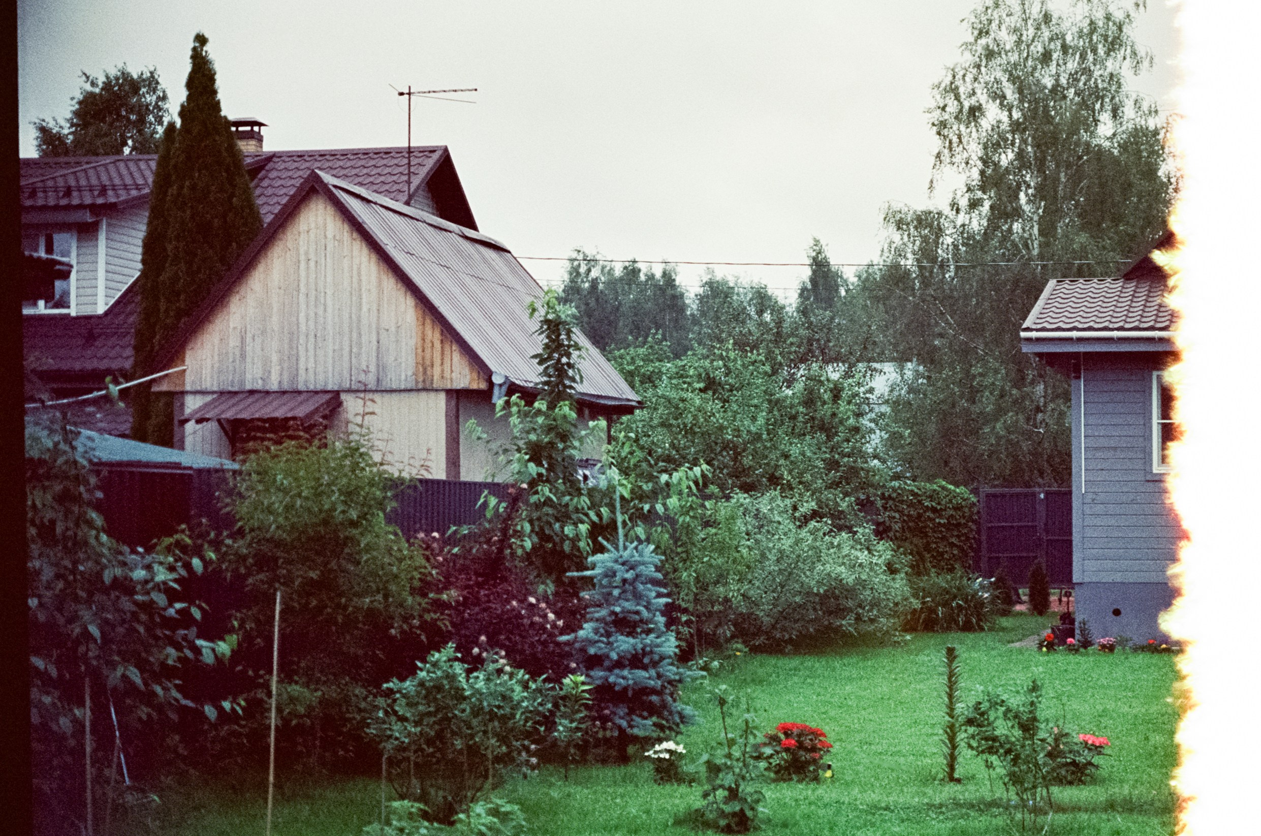 Nikon F100 примеры фотографий