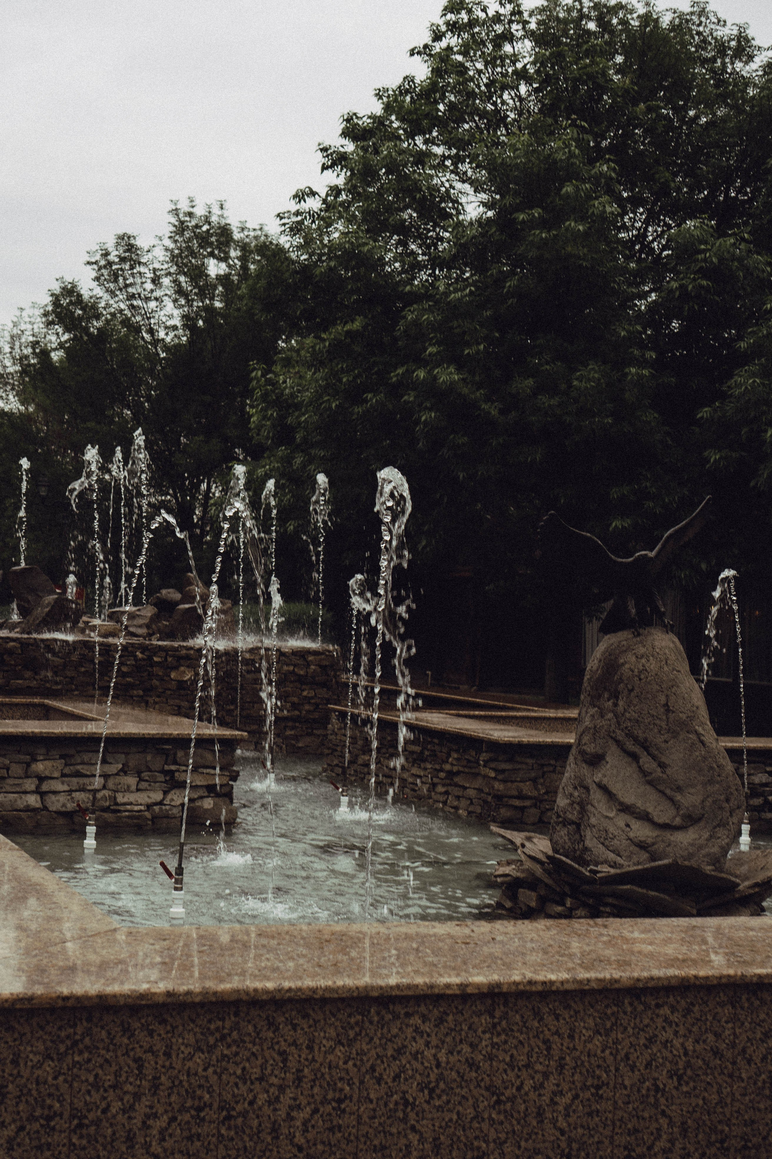 Кавказ. Профессиональный фотограф, Санкт-Петербург — Виктория Богомолова