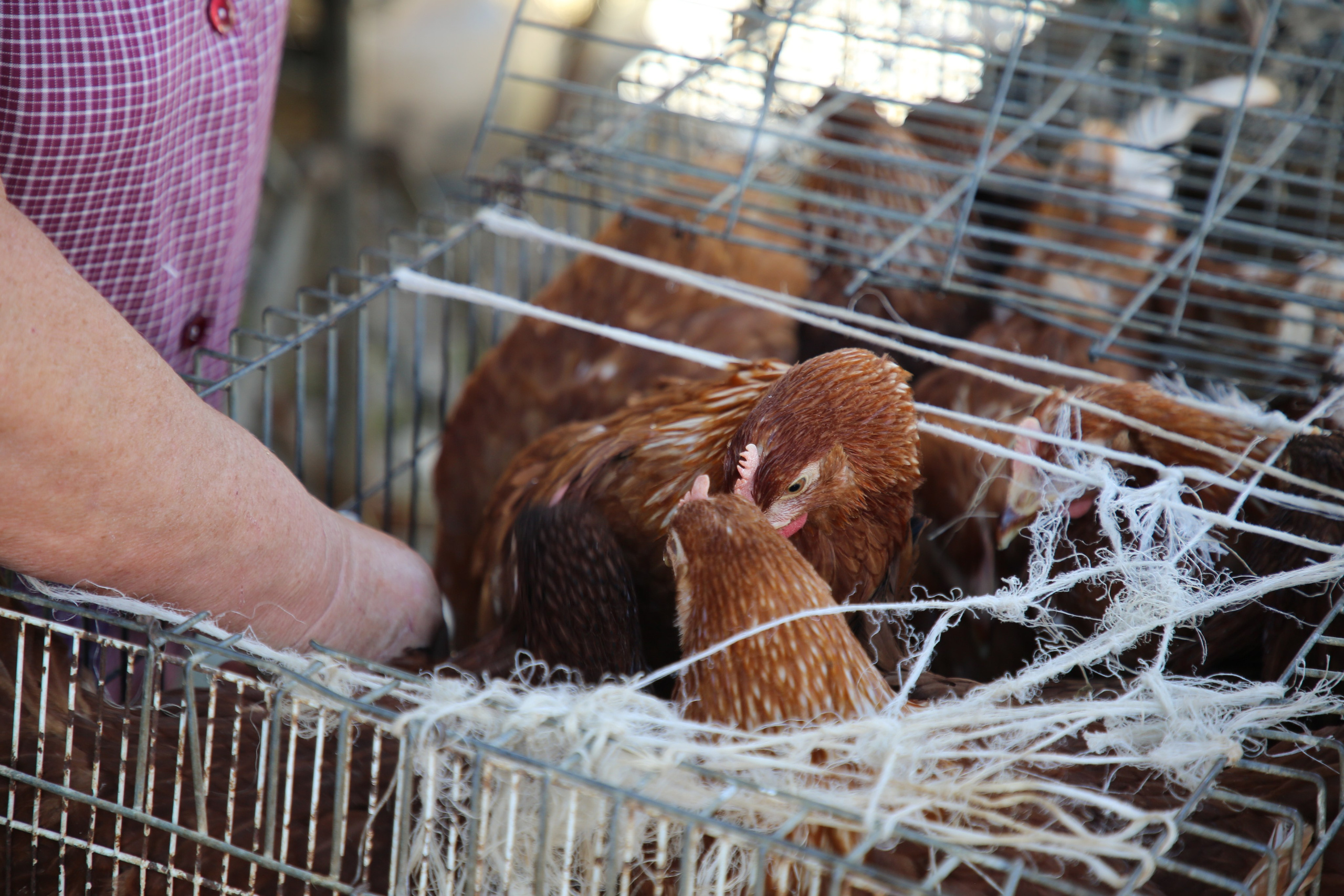 Espihnio, Portugal. Andrey Filippov Photographer