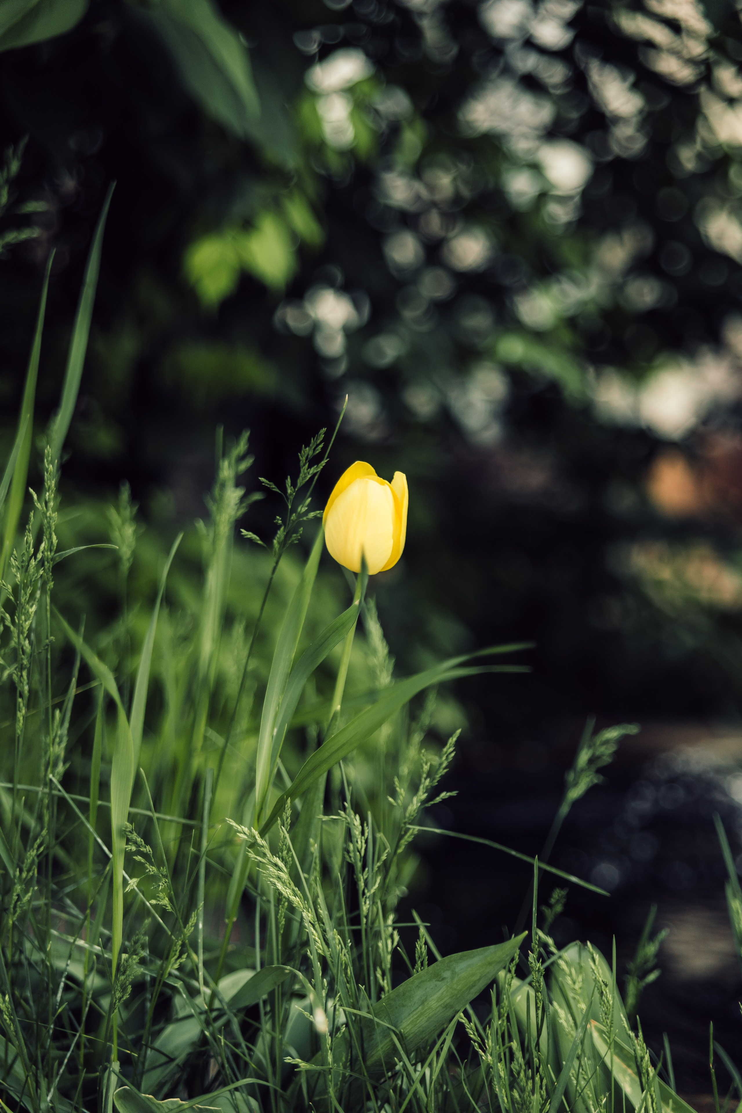 Юбилей Ирины Леонидовны. Фотограф в Таганроге и Ростове-на-Дону