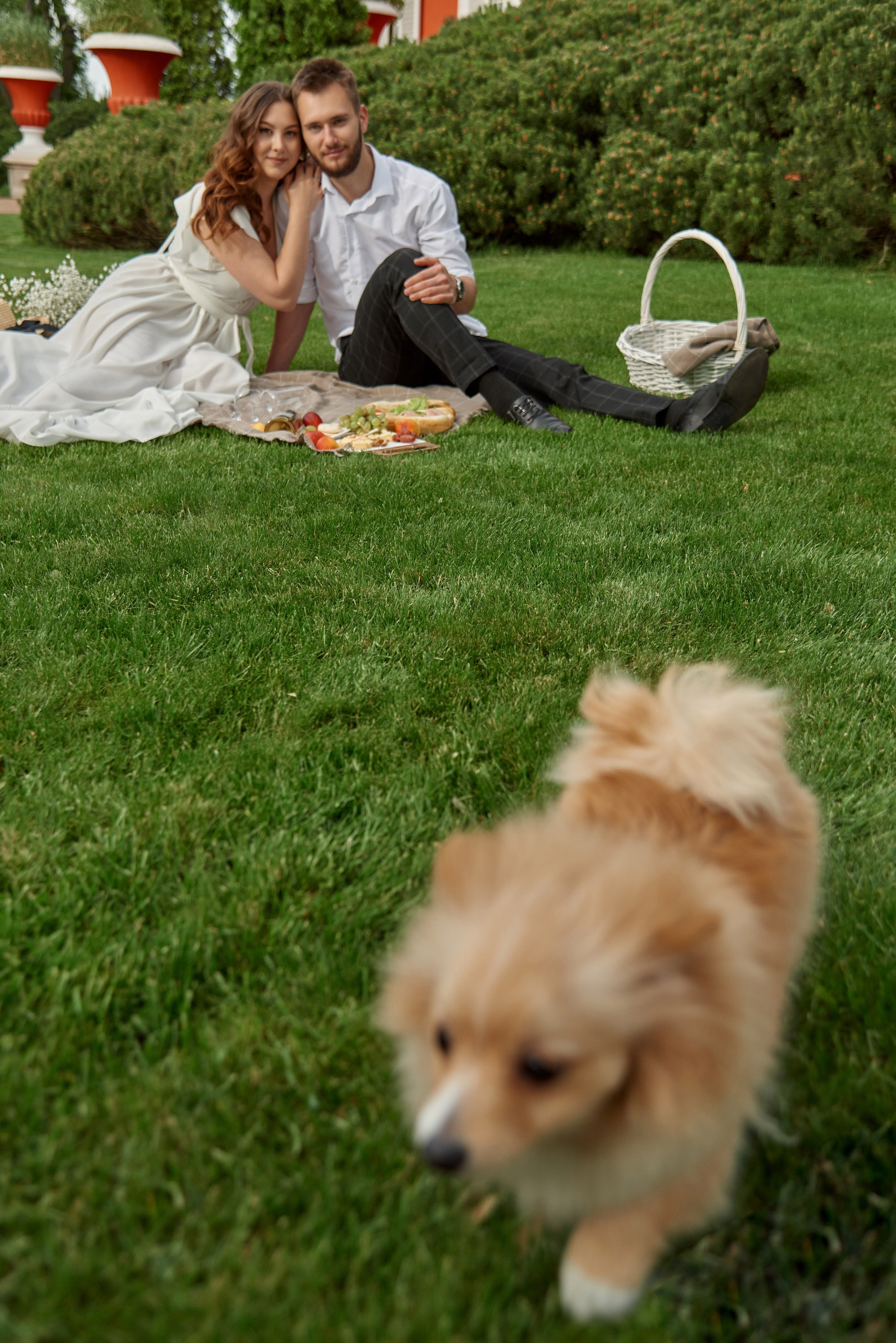 Даня и Лиза. Aleksantis