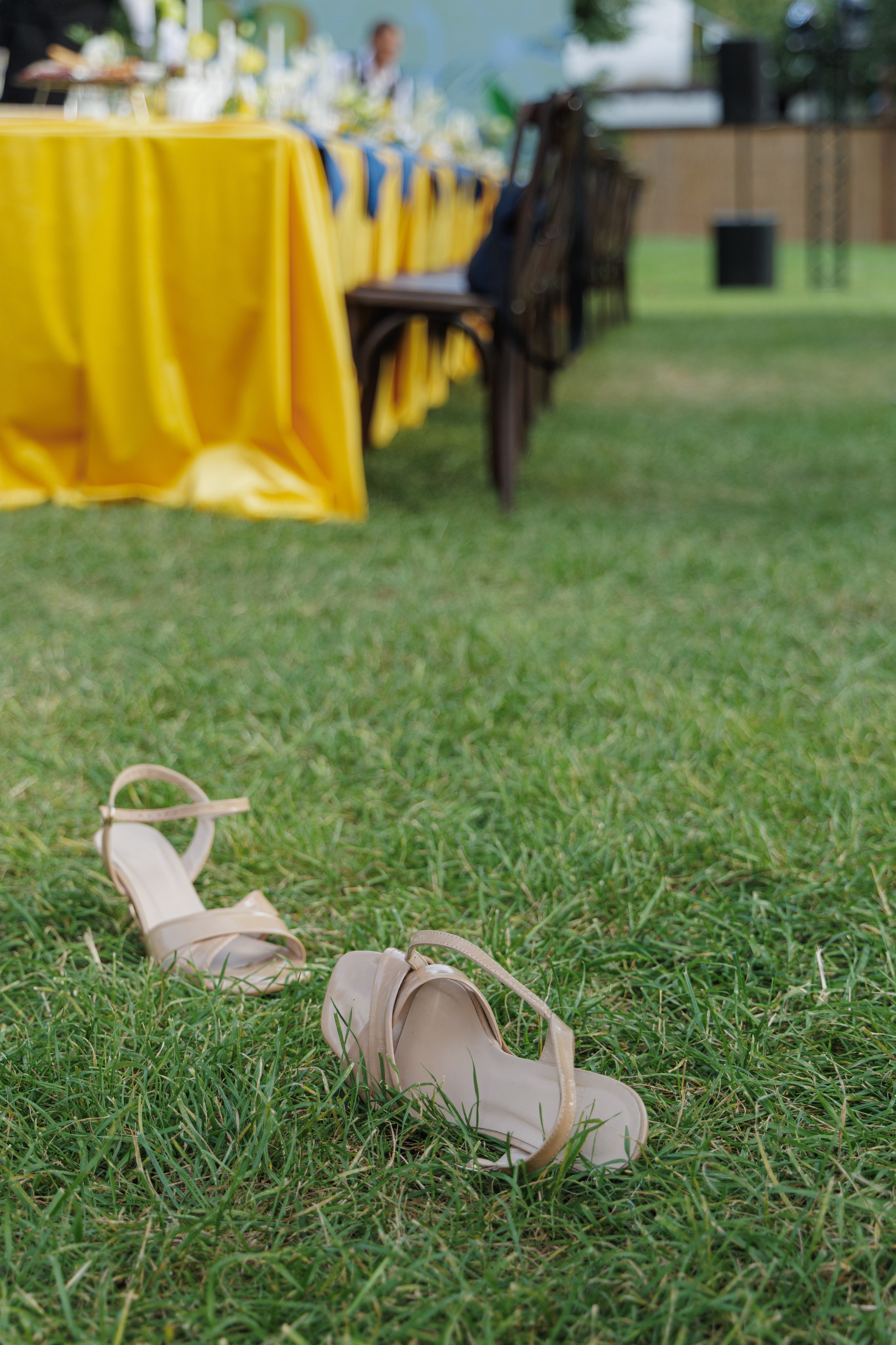 День Рождения. Aleksantis