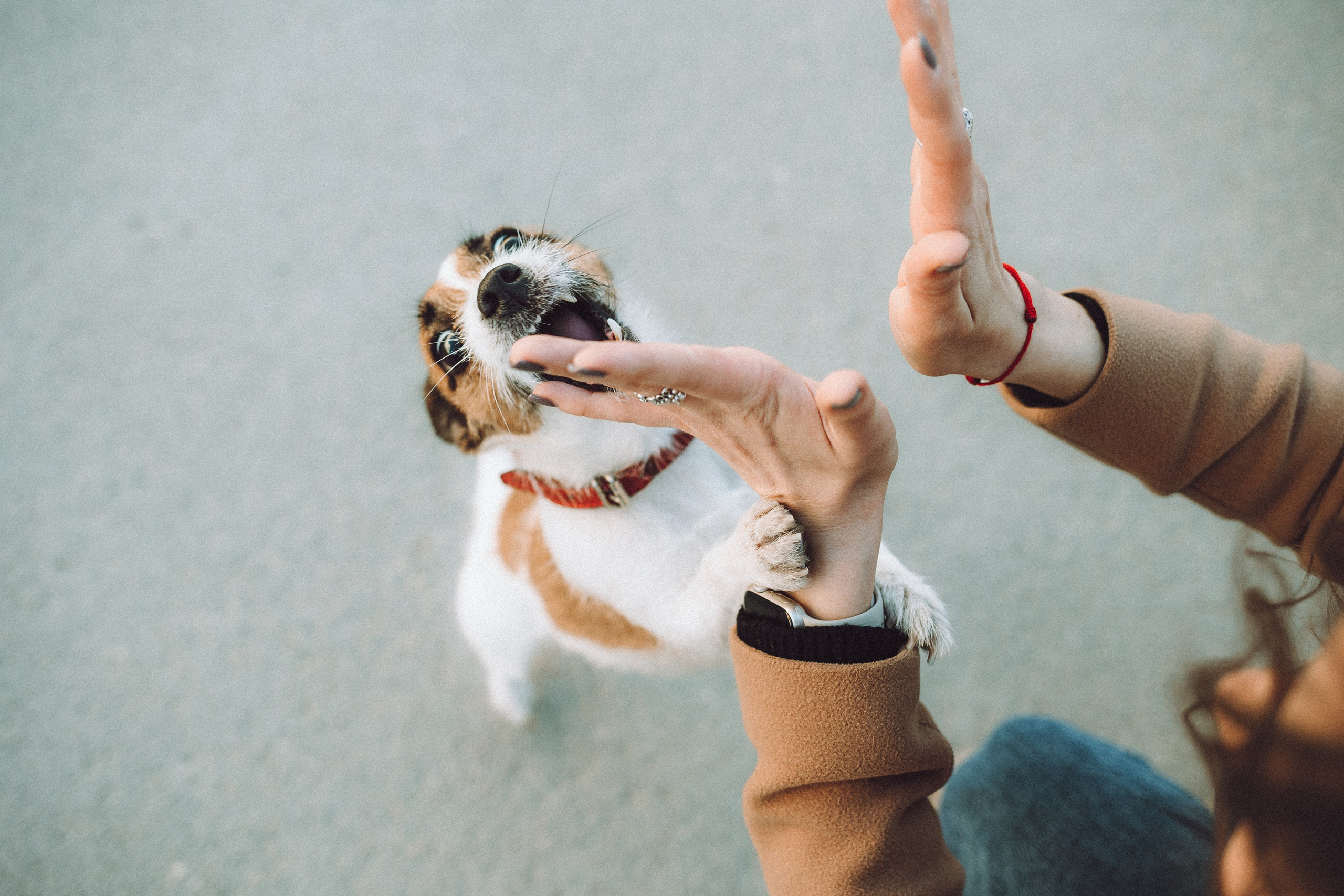 Лера и Рада