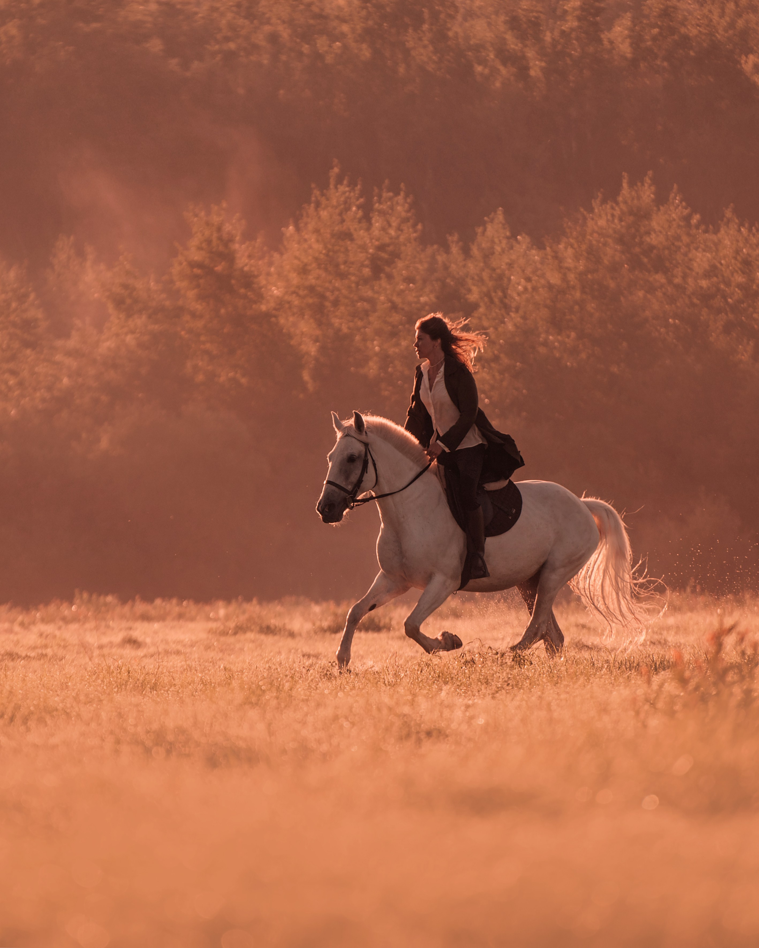 Конное: рассвет на поле с Лерой и Златой. Портфолио