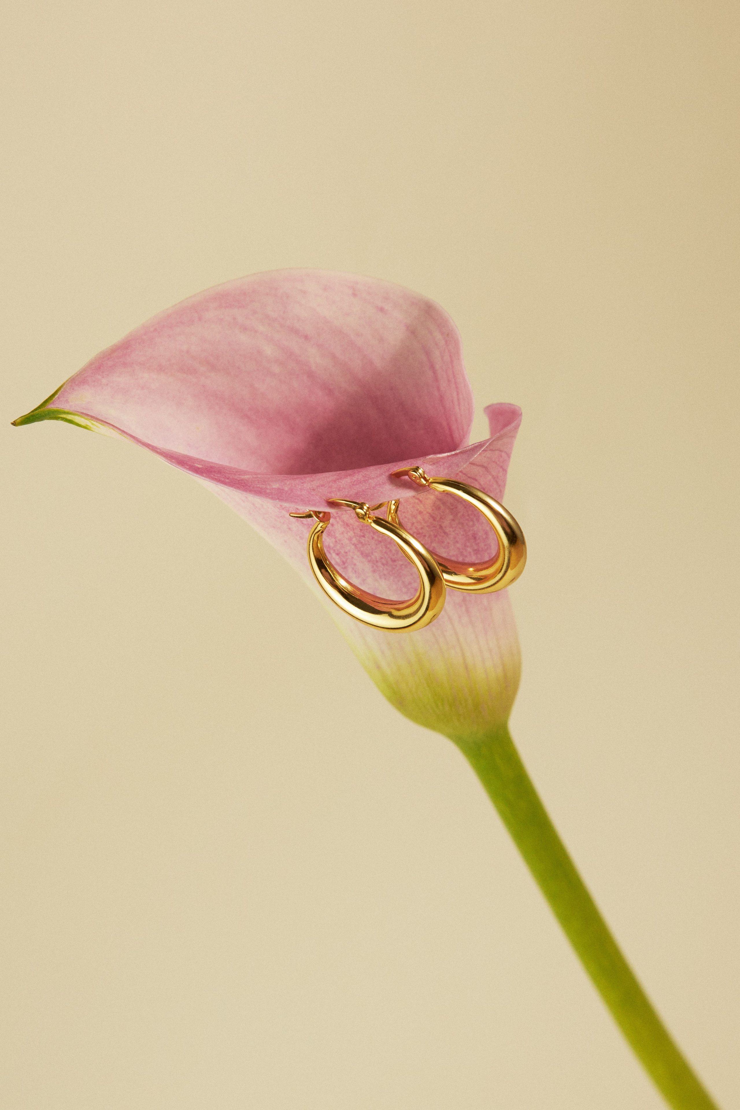 Rassvet Detail. Предметный фотограф Москва Глухарёва Оля